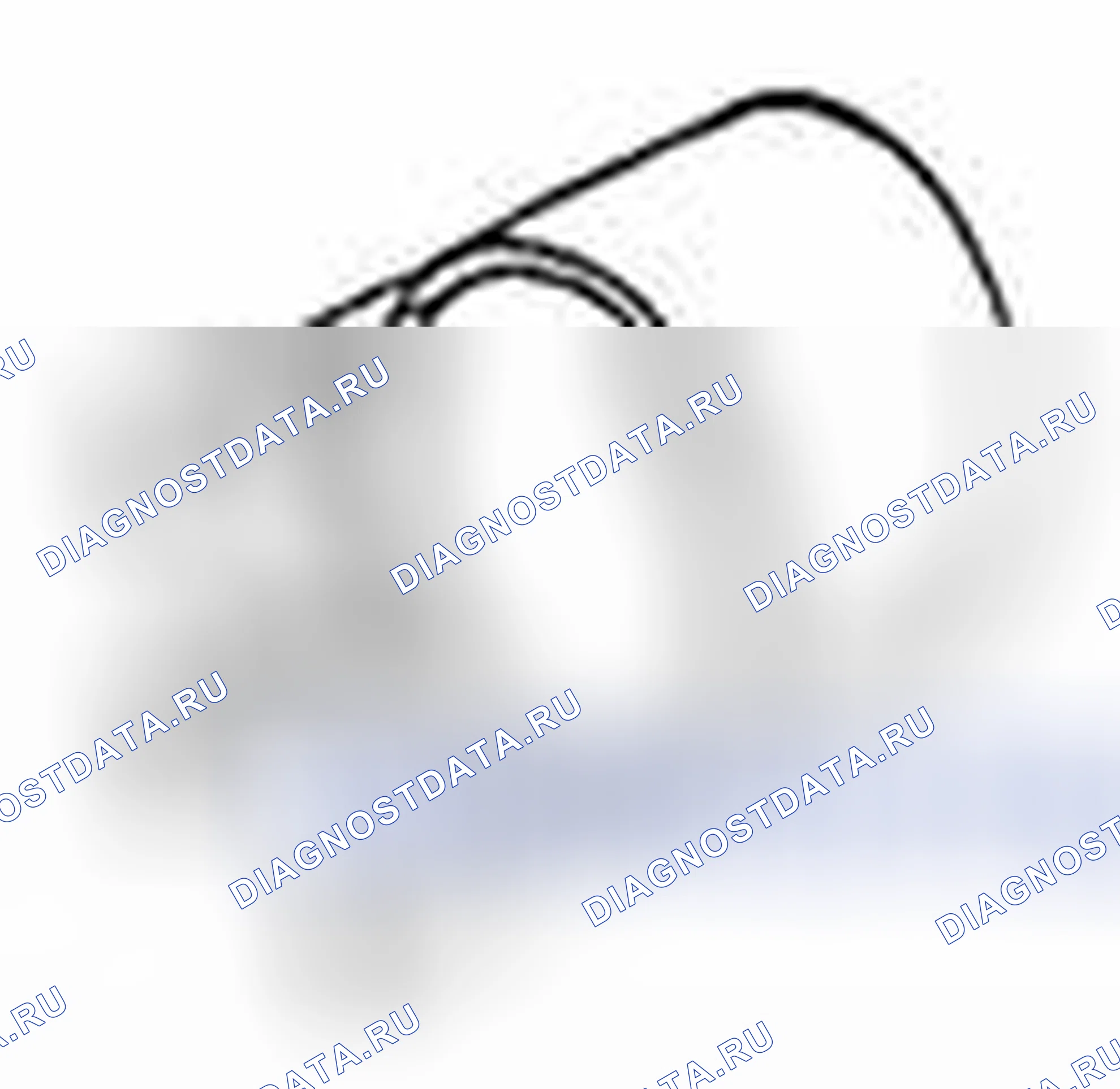 Рис. 89. Suzuki Equator I