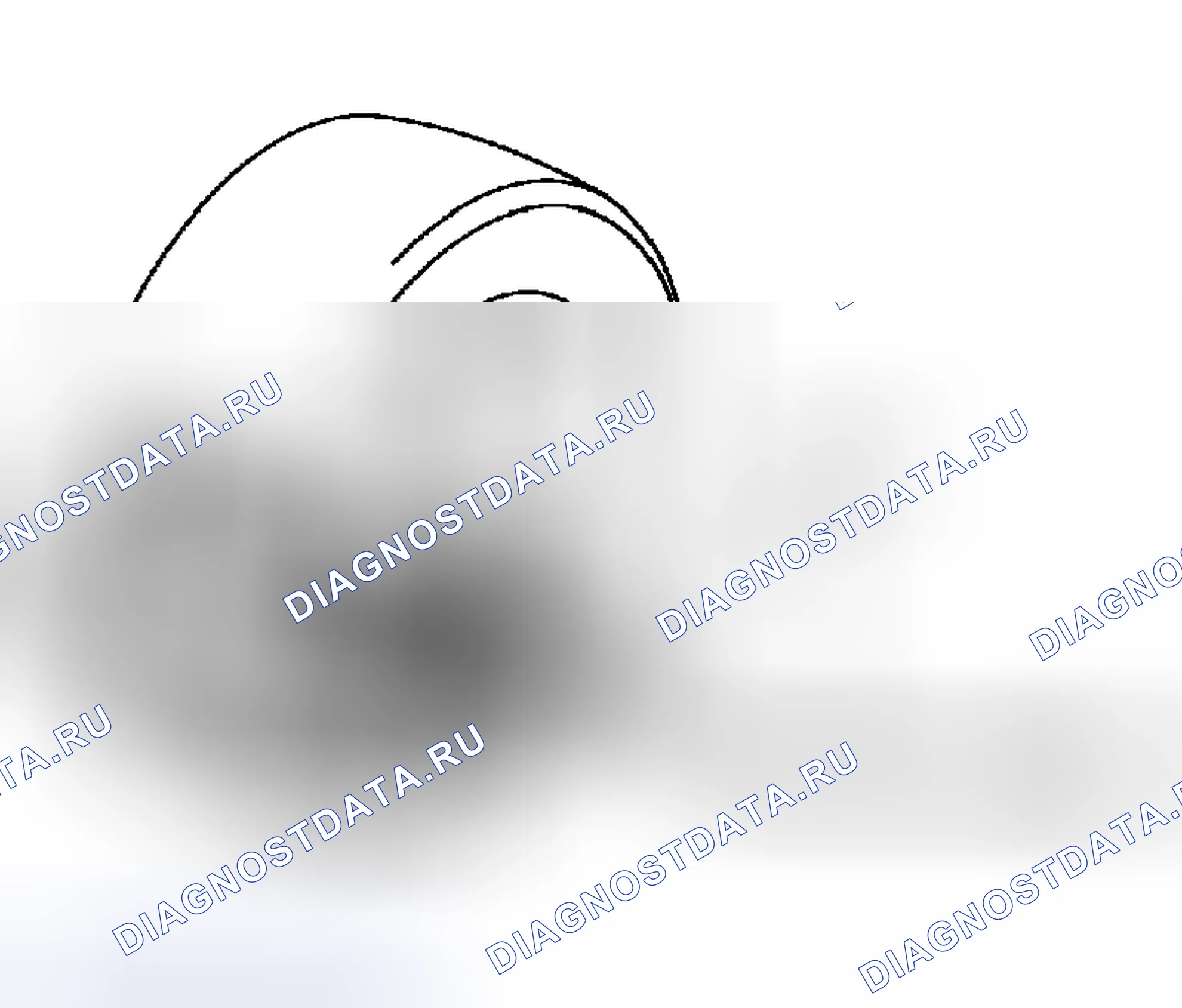 Рис. 531. Lexus RX II