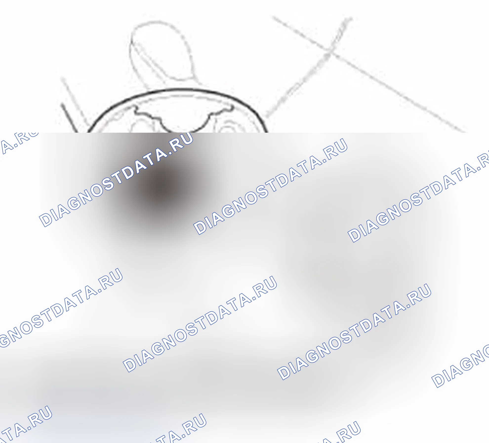 Рис. 18. Honda Civic IX