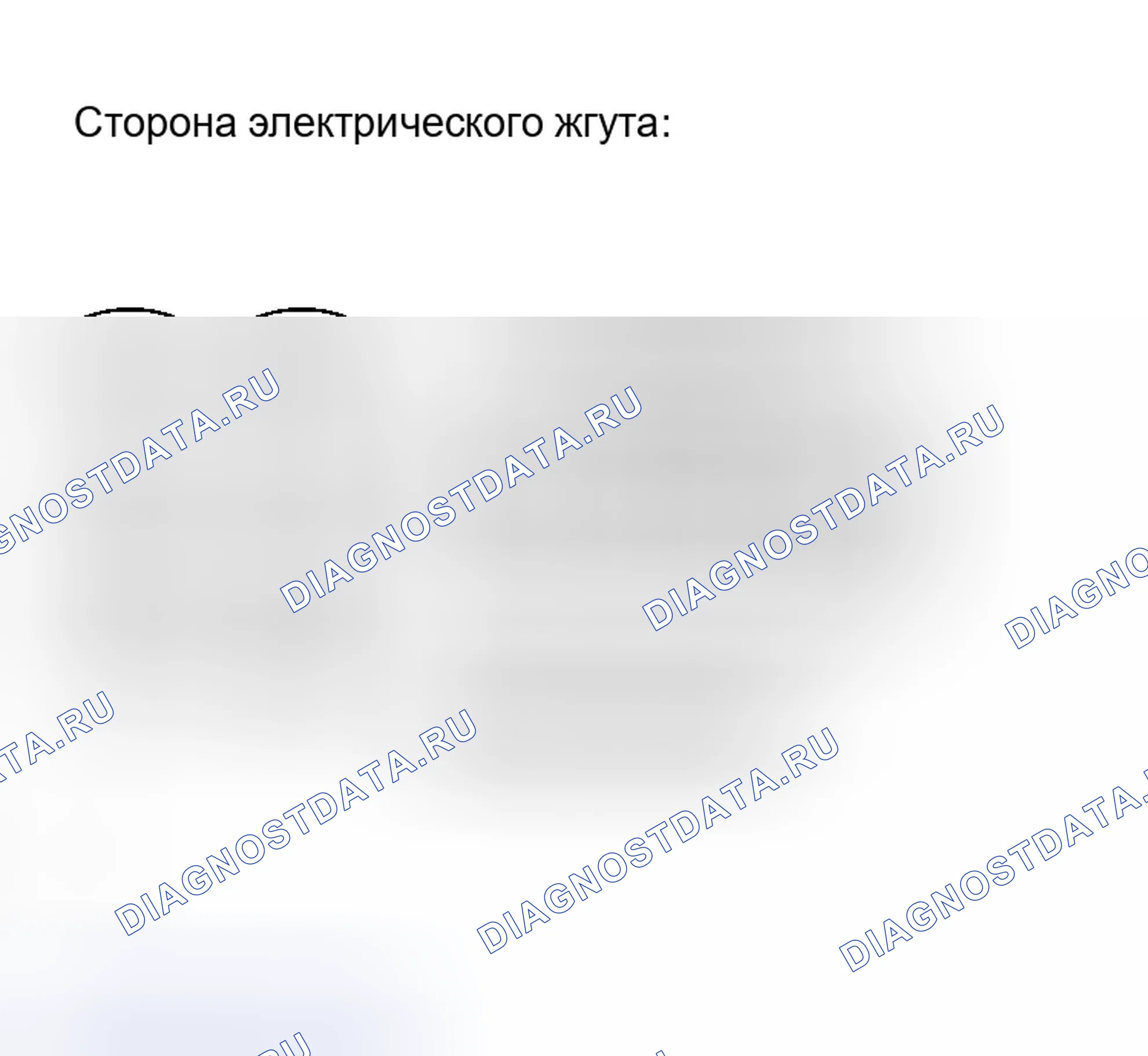 Рис. 219. Haval Xiaolong Max I