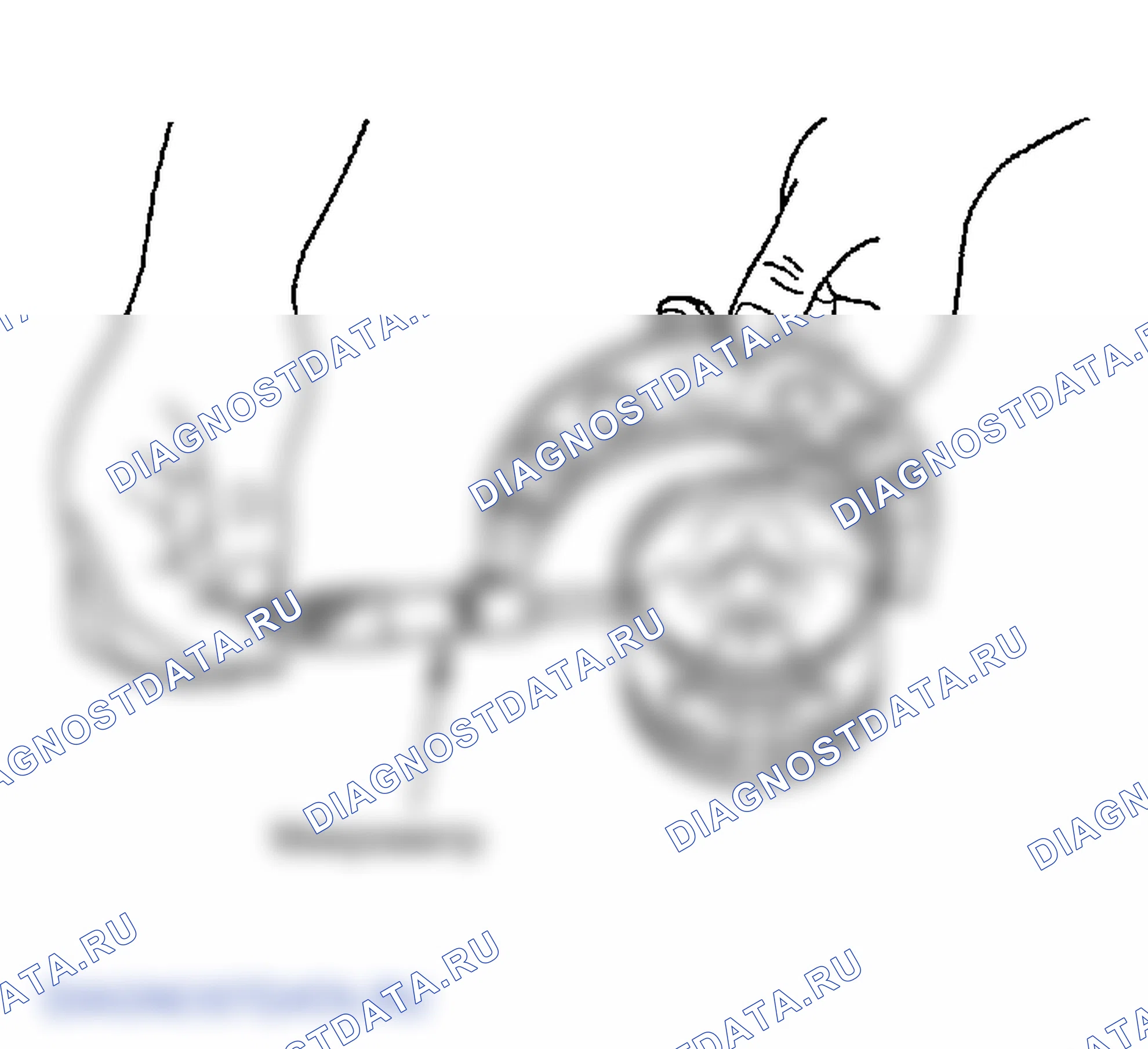 Рис. 362: Диаметр юбки поршня. Infiniti FX35 I