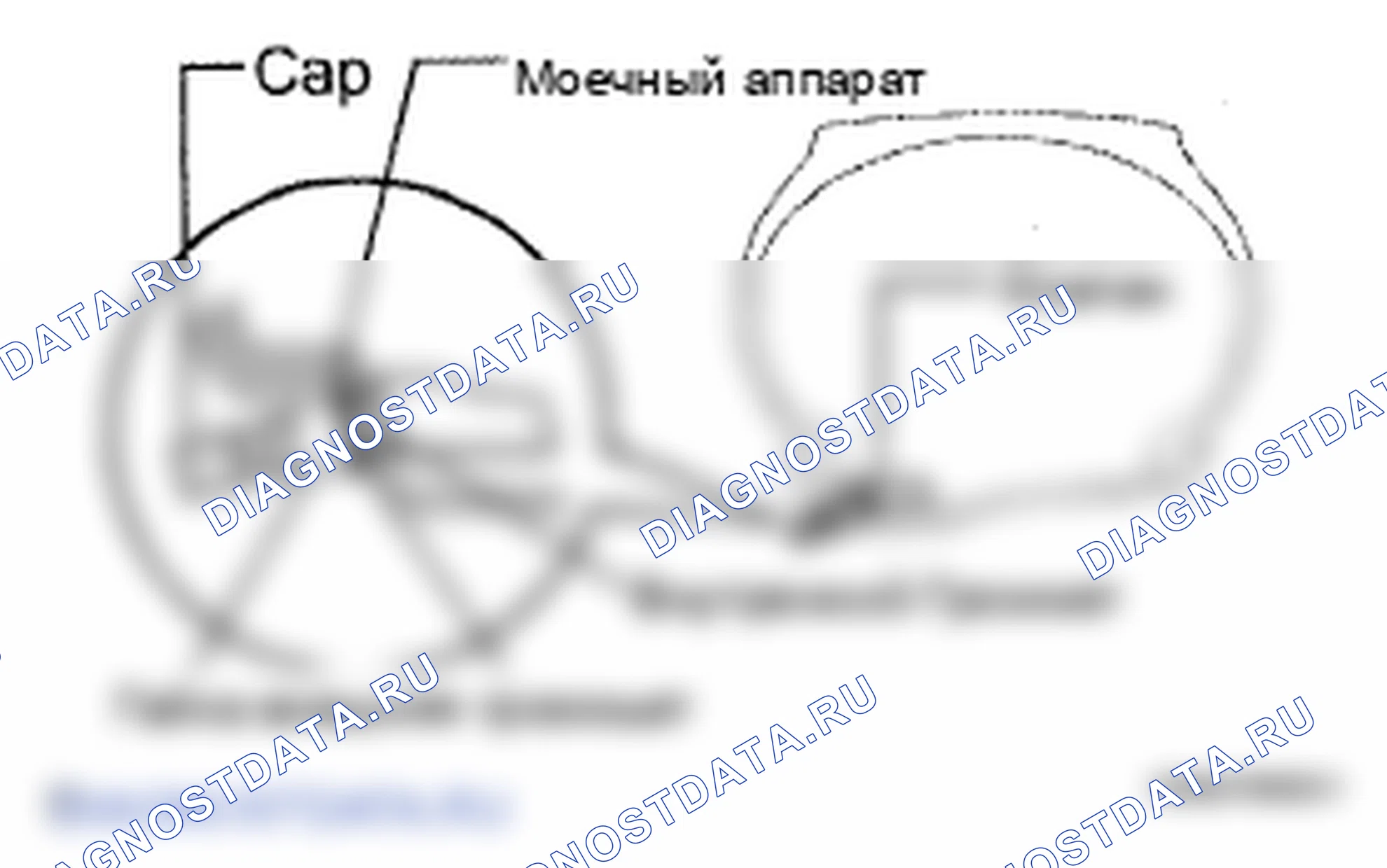 Рис. 46. Lexus SC II рестайлинг