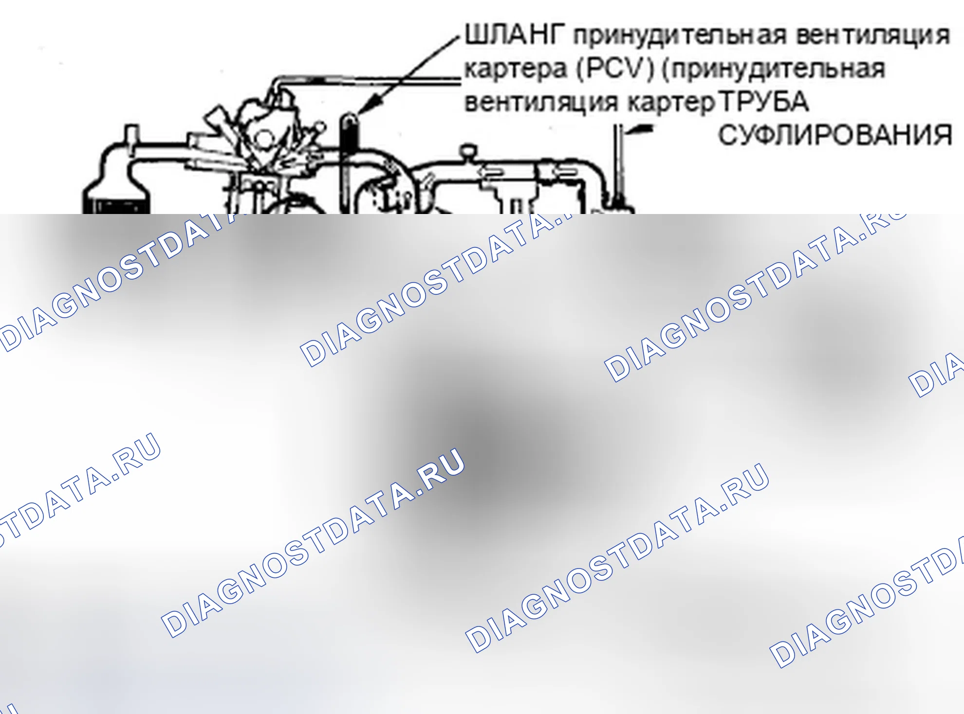 Рис. 1237: Система принудительной вентиляции картера (принудительная вентиляция картера (PCV) (принудительная вентиляция картера)). Honda Civic VIII