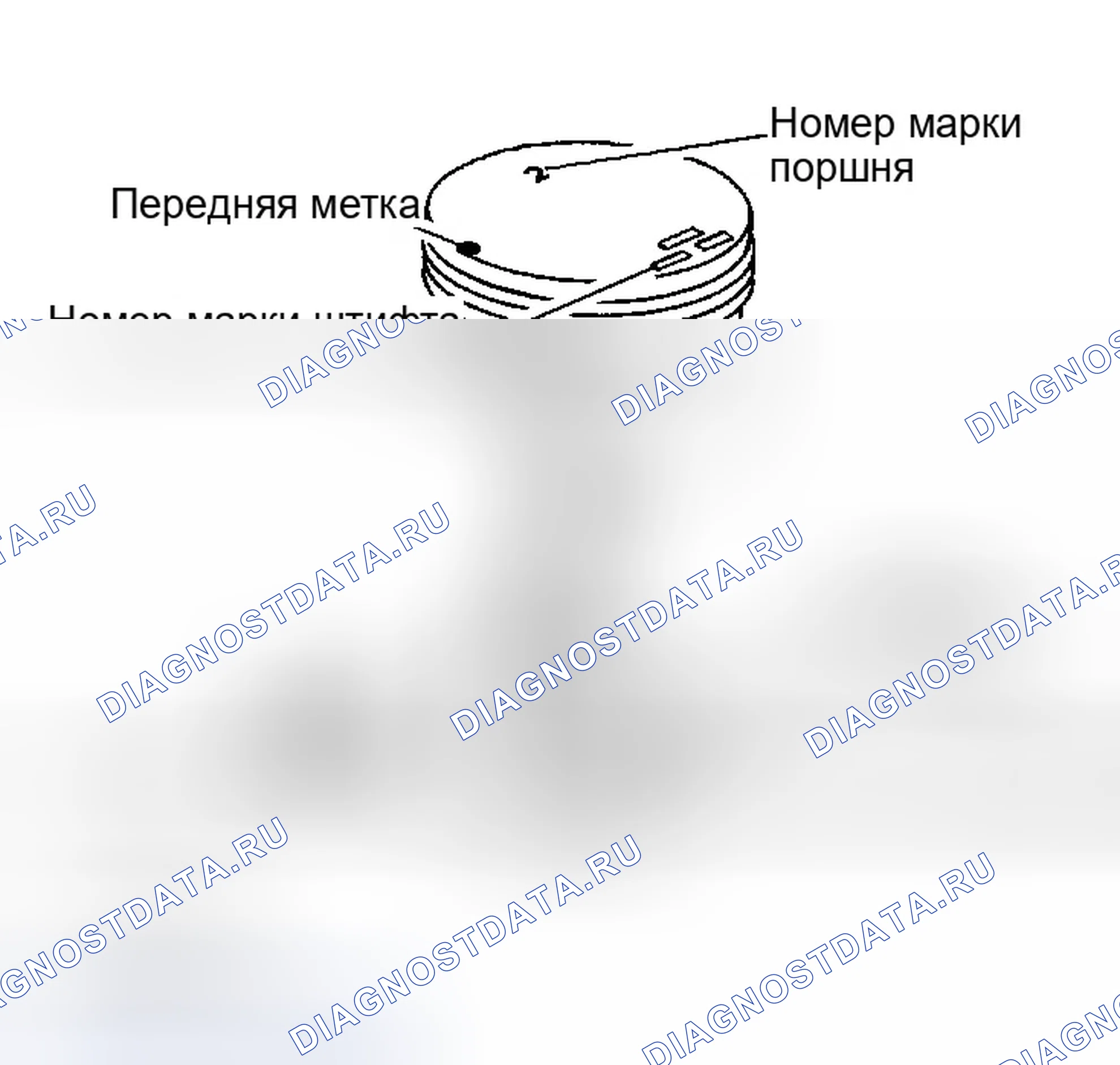 Рис. 491. Infiniti G35 III