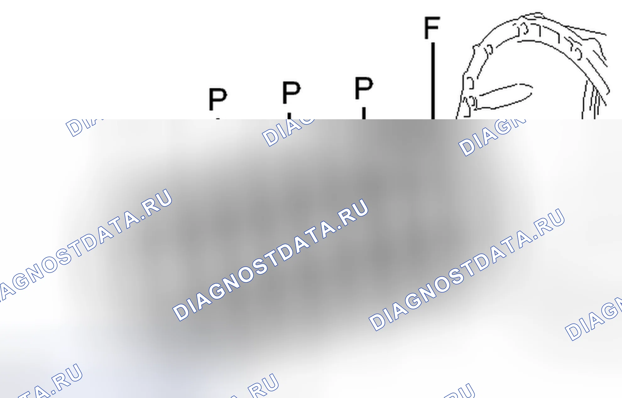 Рис. 572. Honda Accord IV