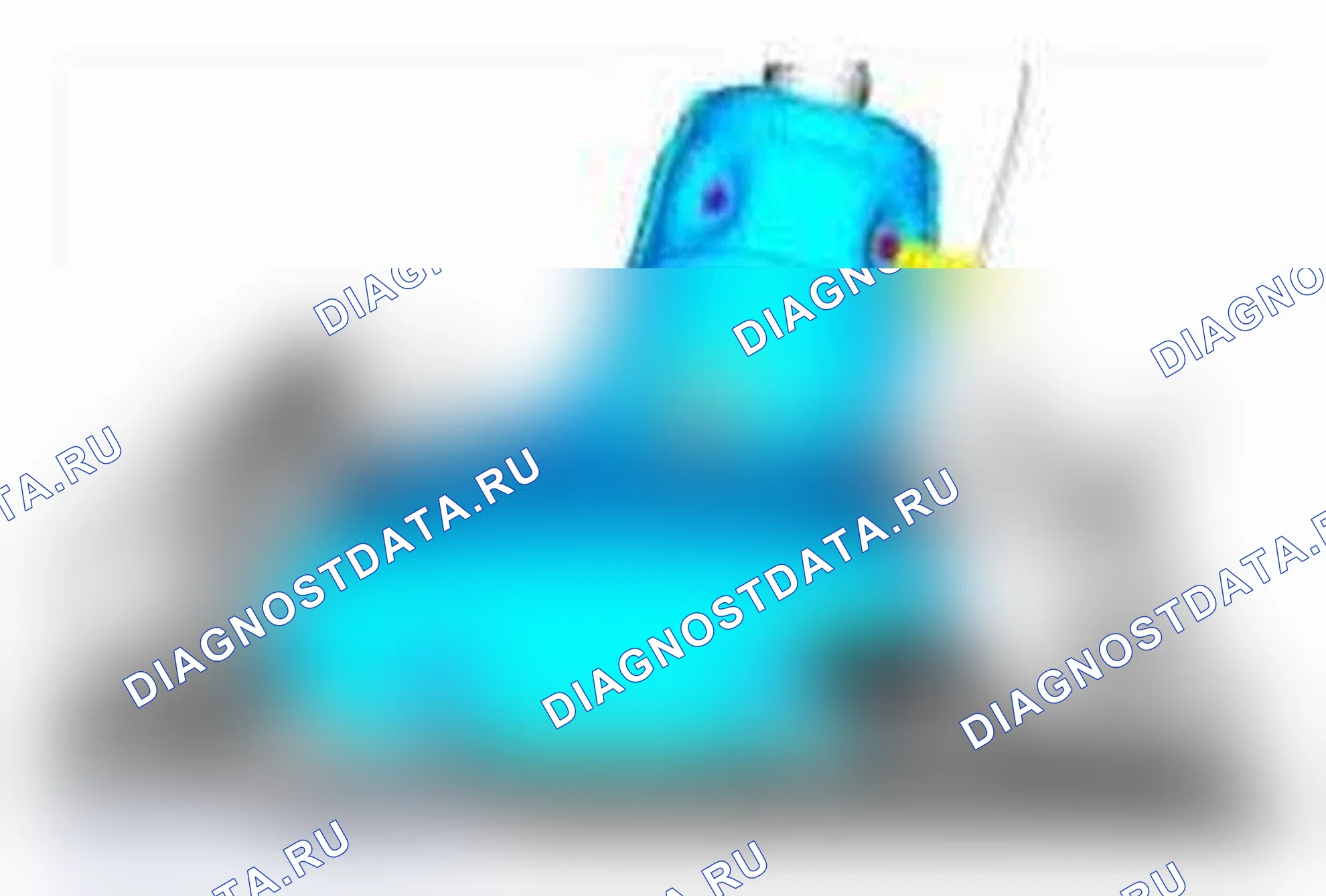 Рис. 6. Ford Focus III