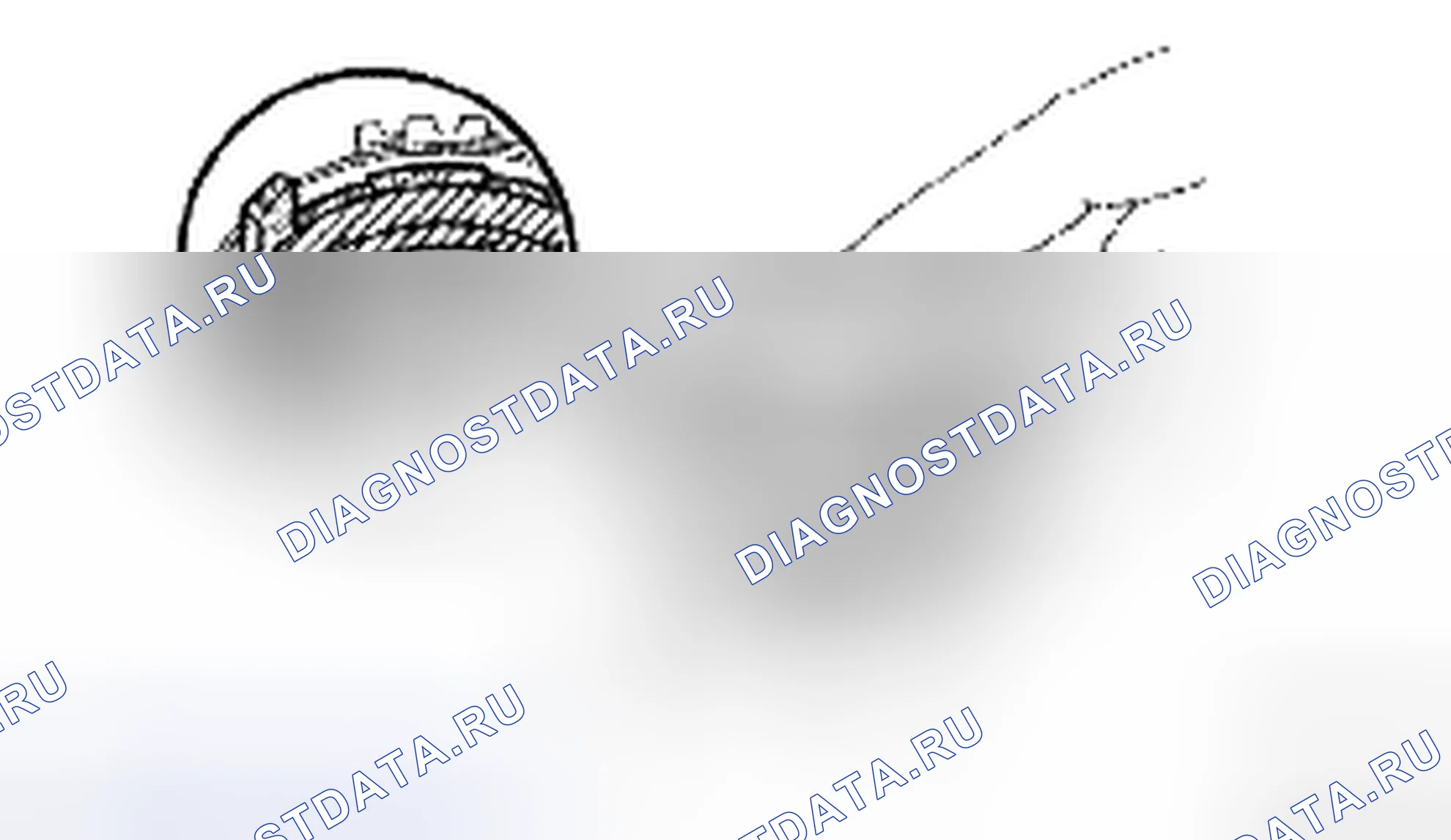 Рис. 157. Toyota Camry XV40