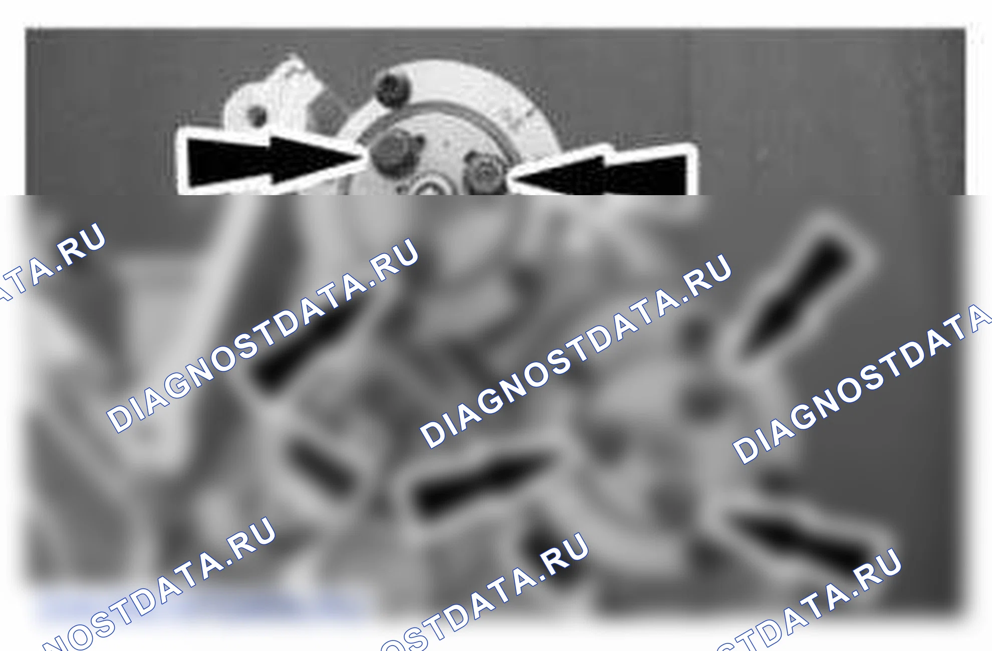 Рис. 1133. Ford Mustang V рестайлинг