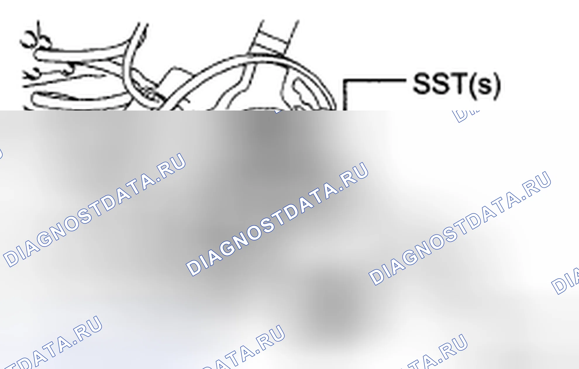 Рис. 23: ЗАМЕНА. Toyota Sienna II рестайлинг