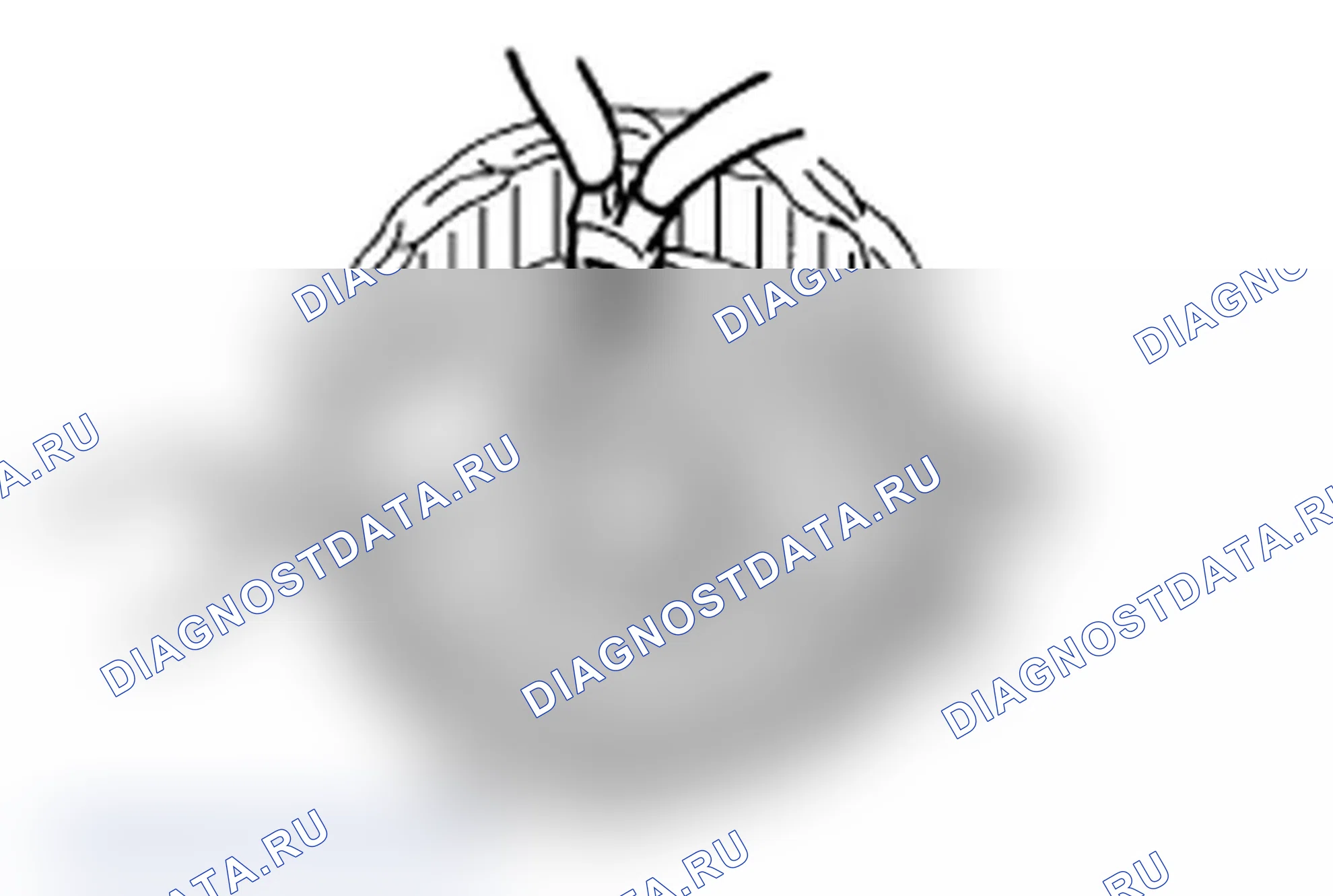 Рис. 21. Subaru Impreza WRX GD/GG рестайлинг 2