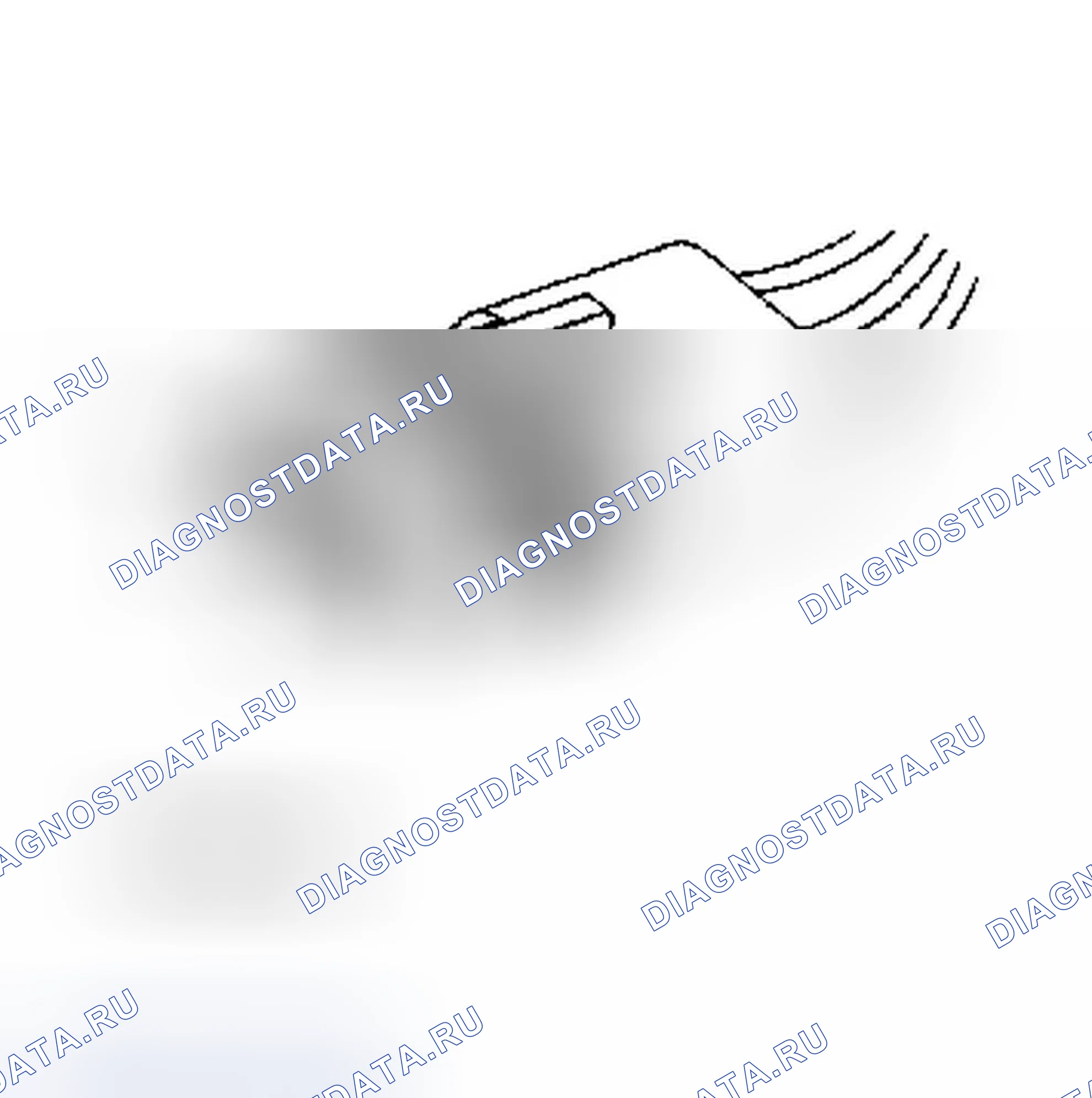 Рис. 13. Dodge Dakota WS 