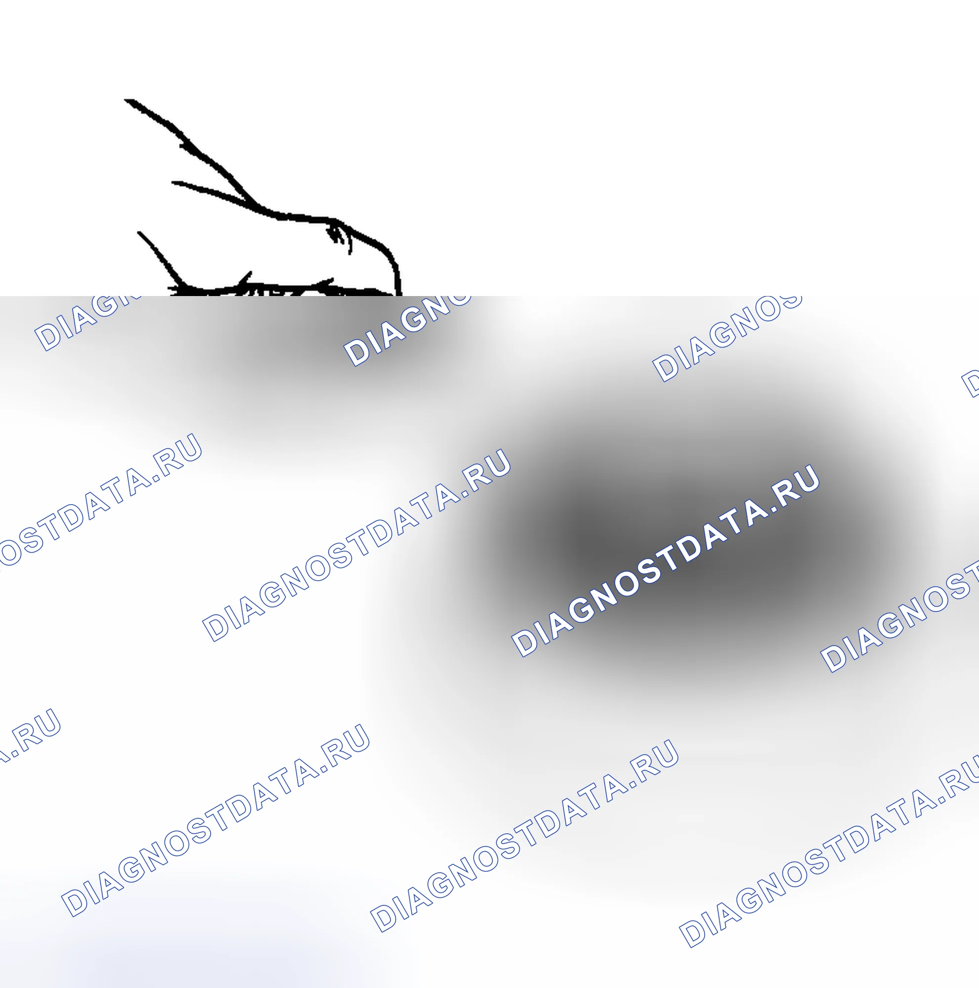 Рис. 294. Ford Pickup F250 Super Duty I
