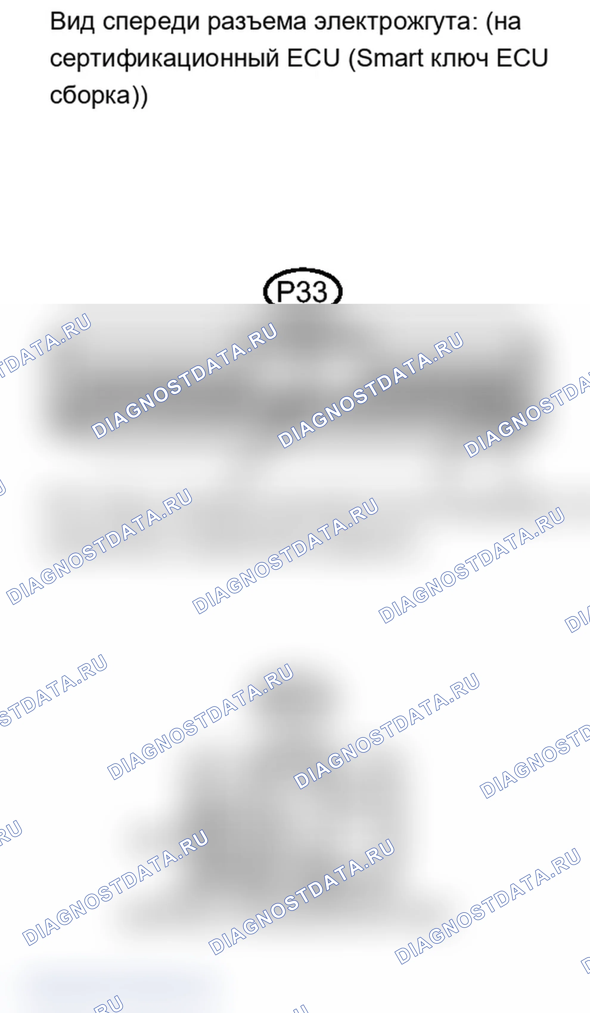 Рис. 238. Lexus IS F I