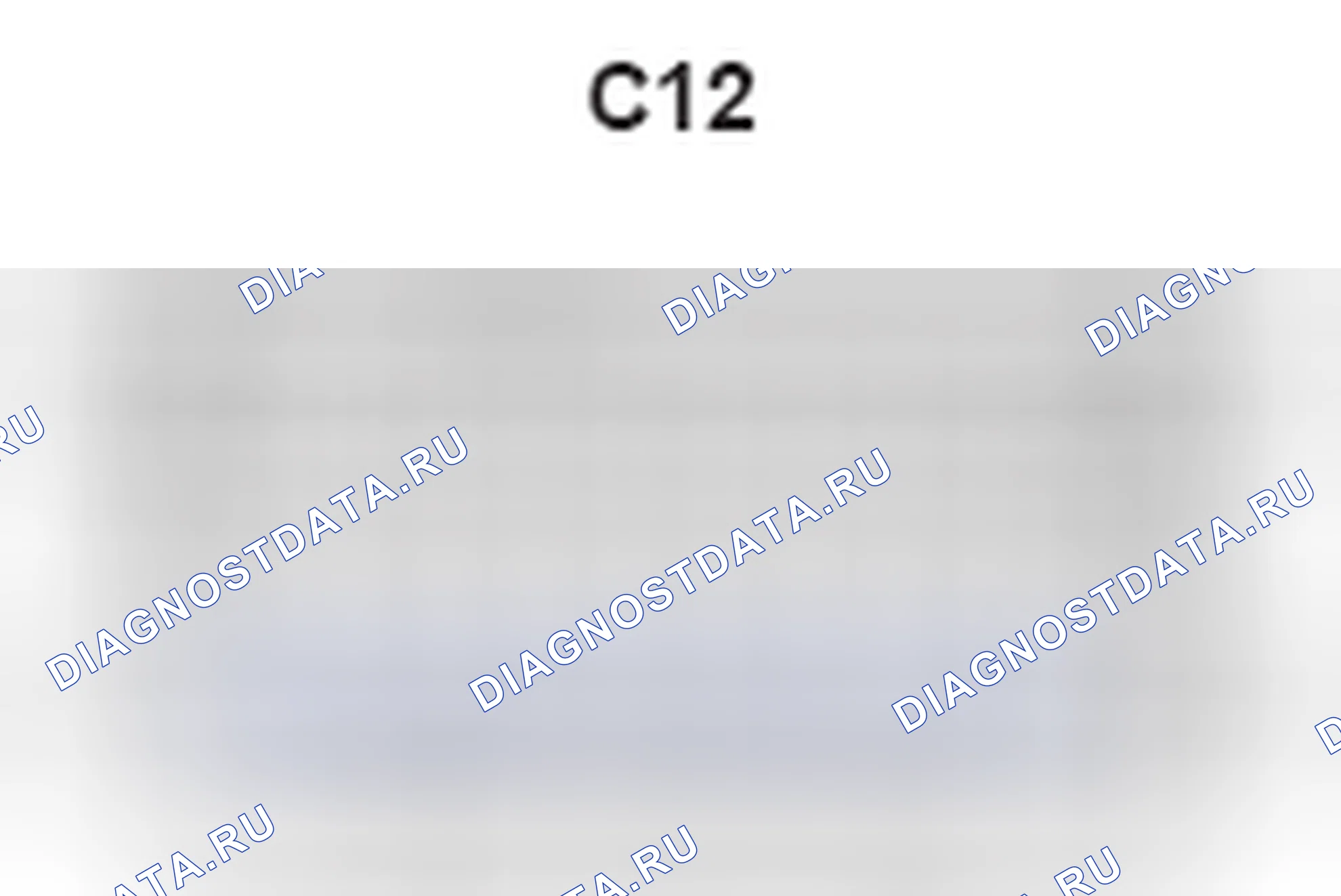 Рис. 438: Комбинированный соединитель расходомера, вид с торца (C12). Lexus GX J120