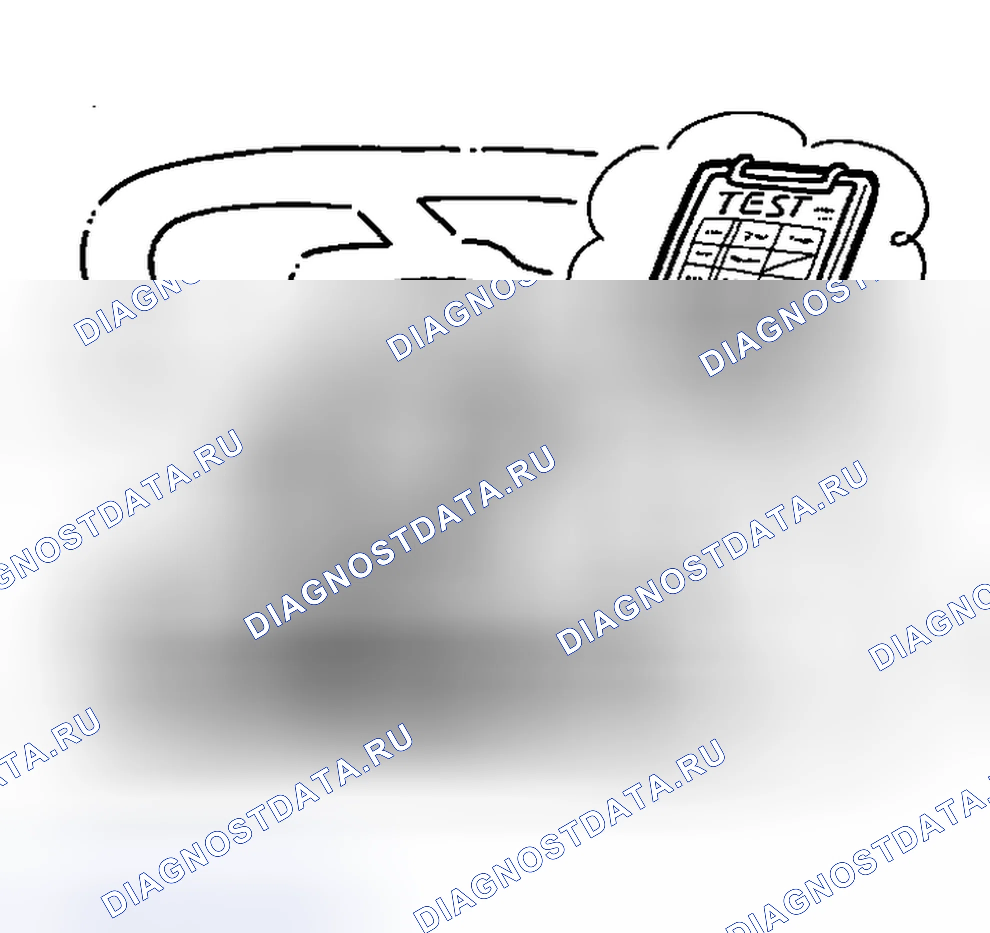 Рис. 4. Nissan Murano Z50