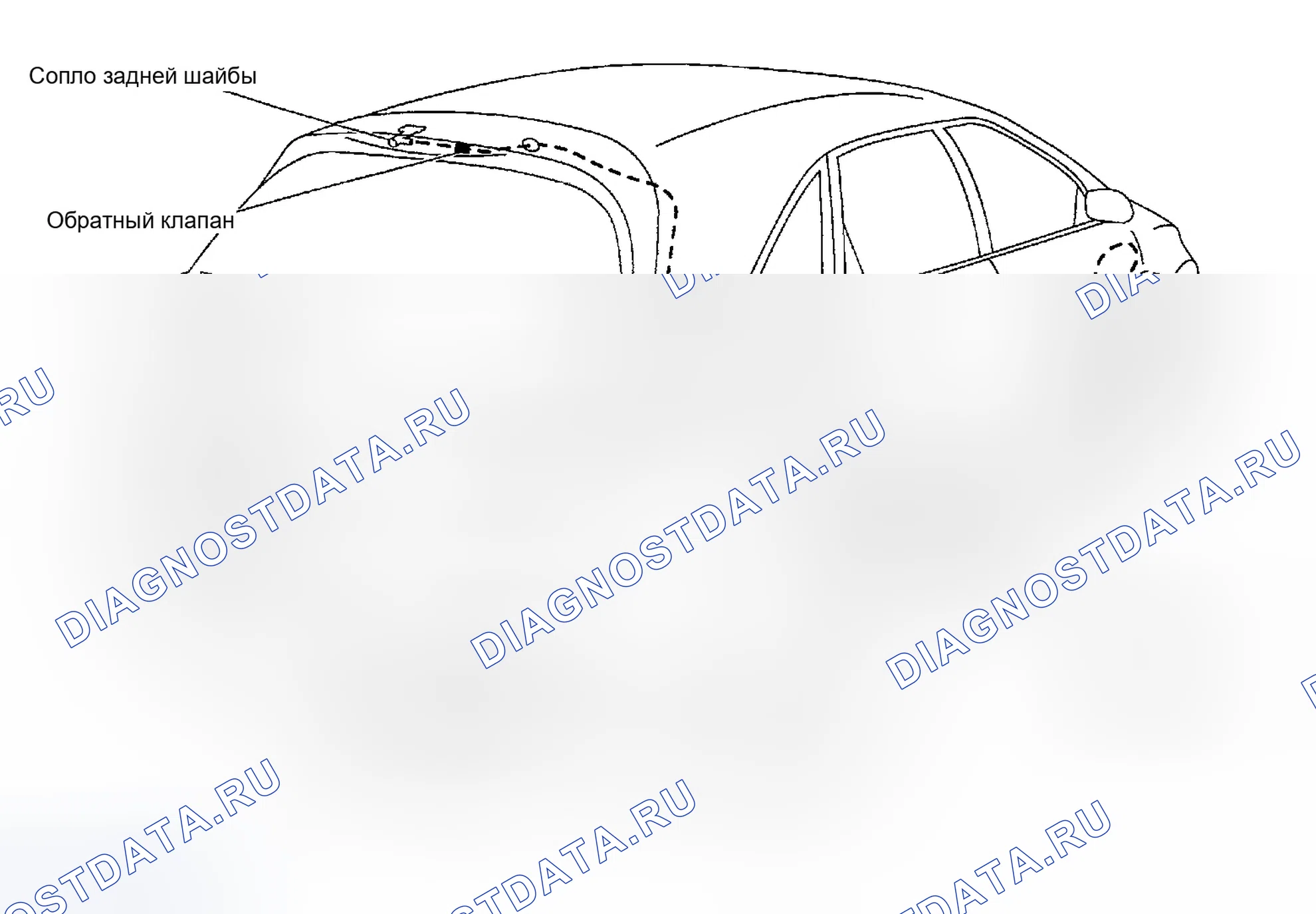 Рис. 76: СХЕМА РАСПОЛОЖЕНИЯ ТРУБОК ОМЫВАТЕЛЯ. Infiniti FX35 I