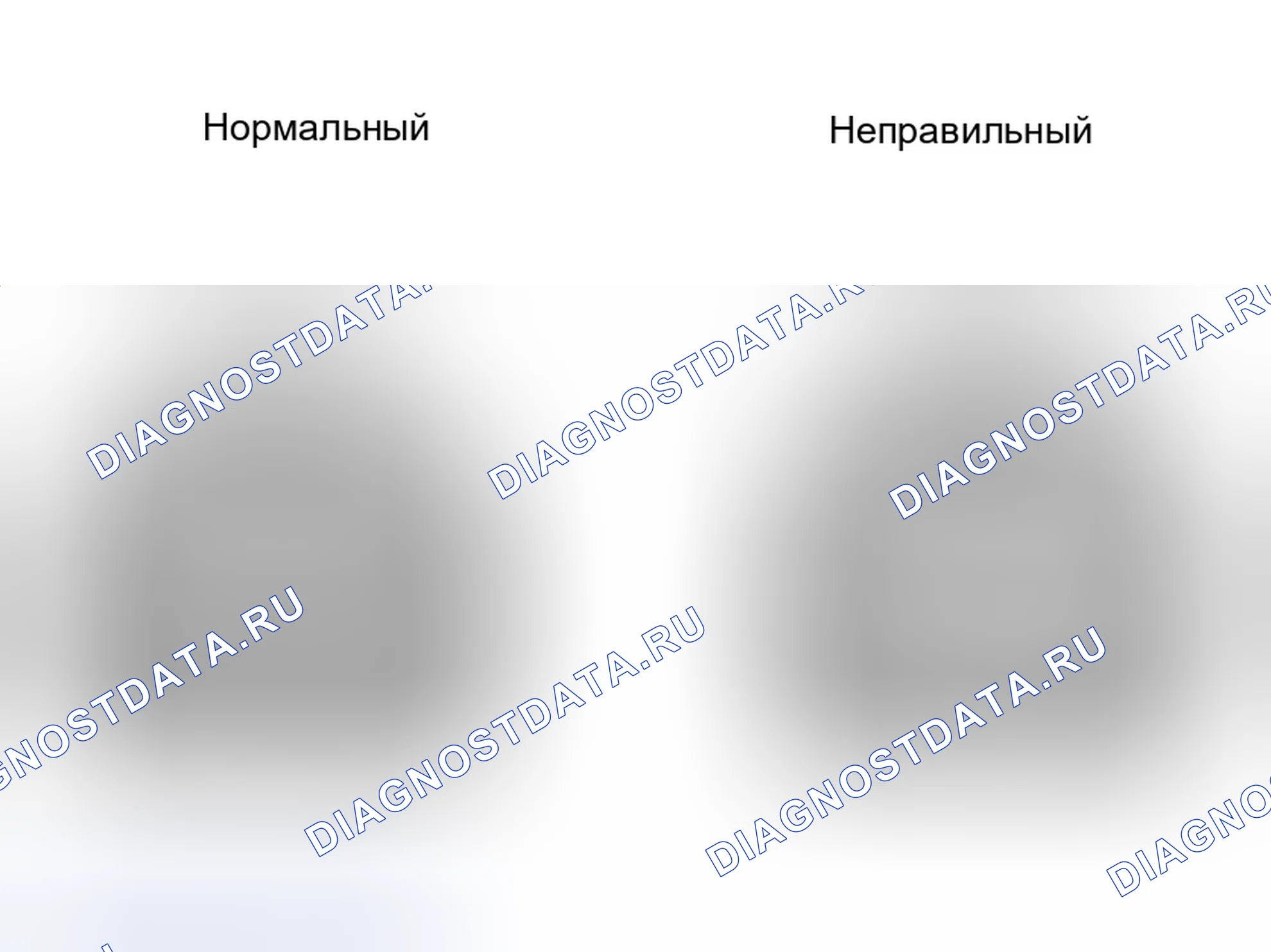 Рис. 4. Kia Sorento I