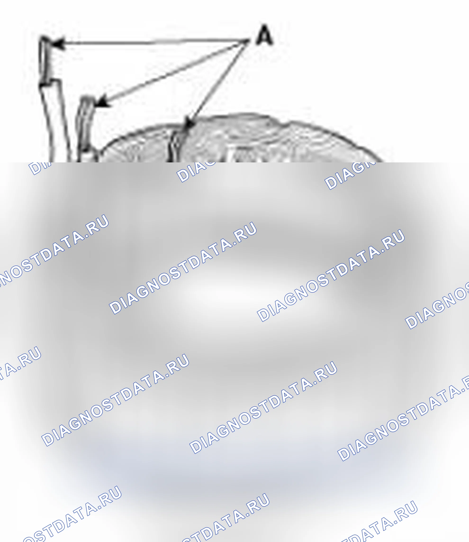 Рис. 503: Проверка статора. Hyundai Sonata VI