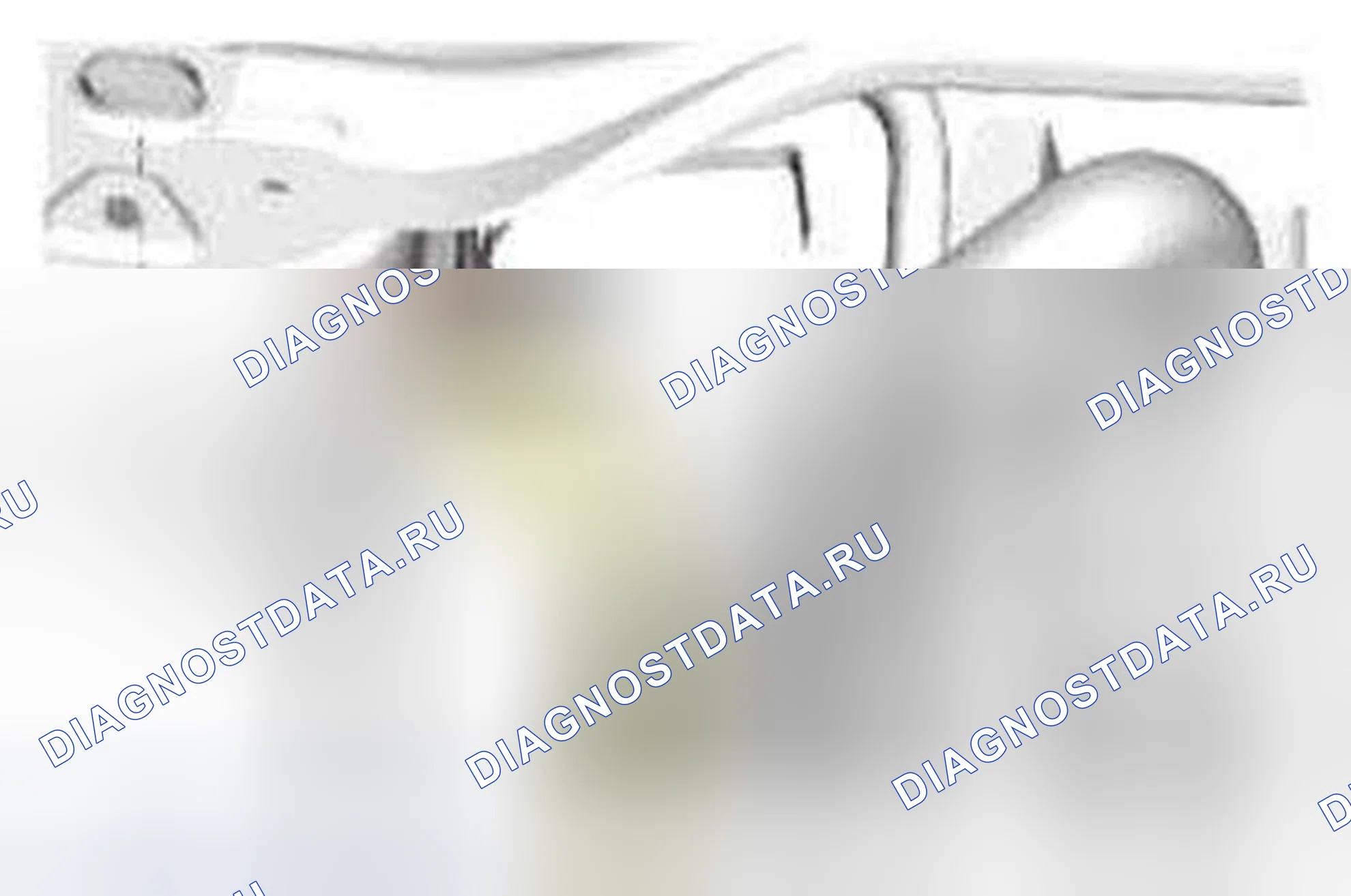 Рис. 754. Ford Explorer V