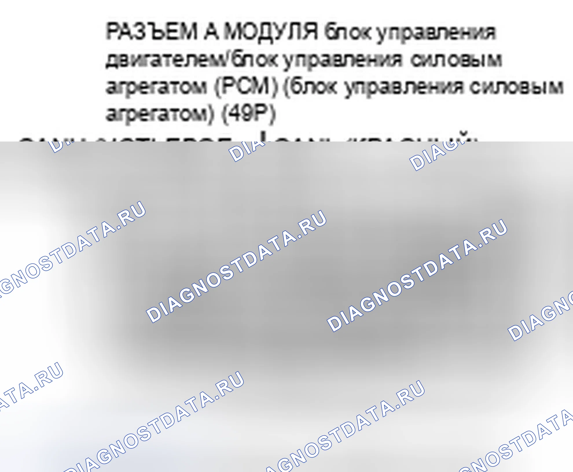 Рис. 850. Honda Accord VIII рестайлинг