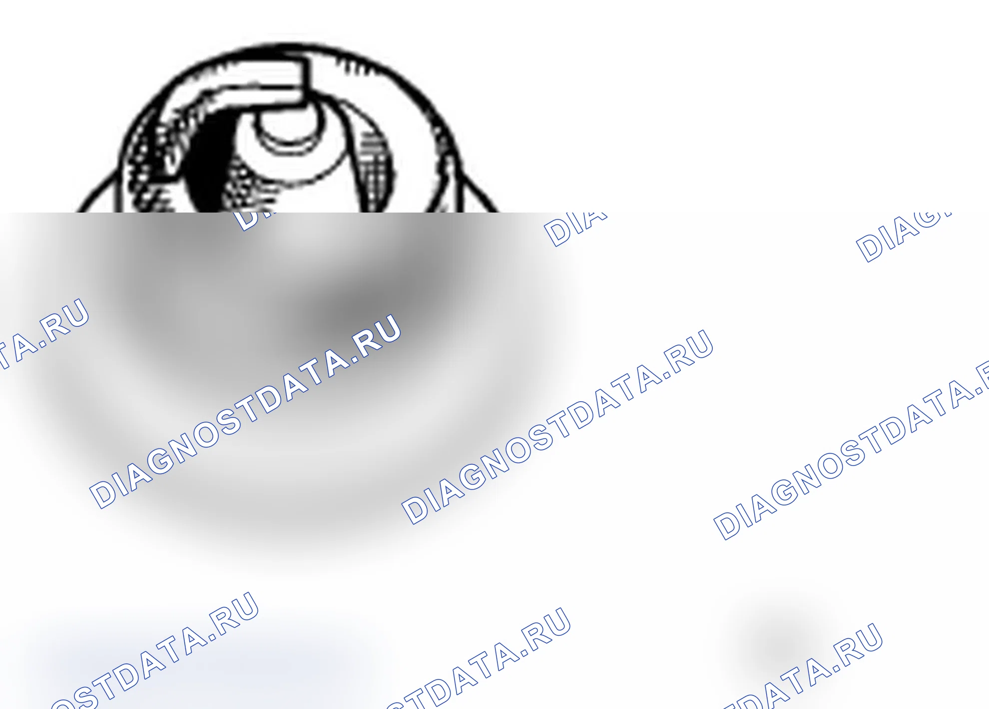 Рис. 39. Subaru Impreza WRX STI GR