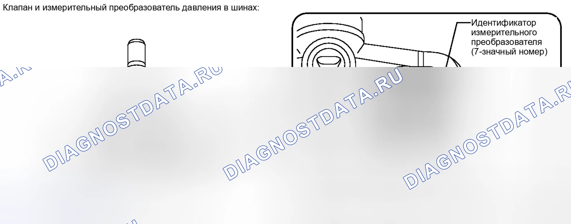Рис. 2. Lexus IS F I