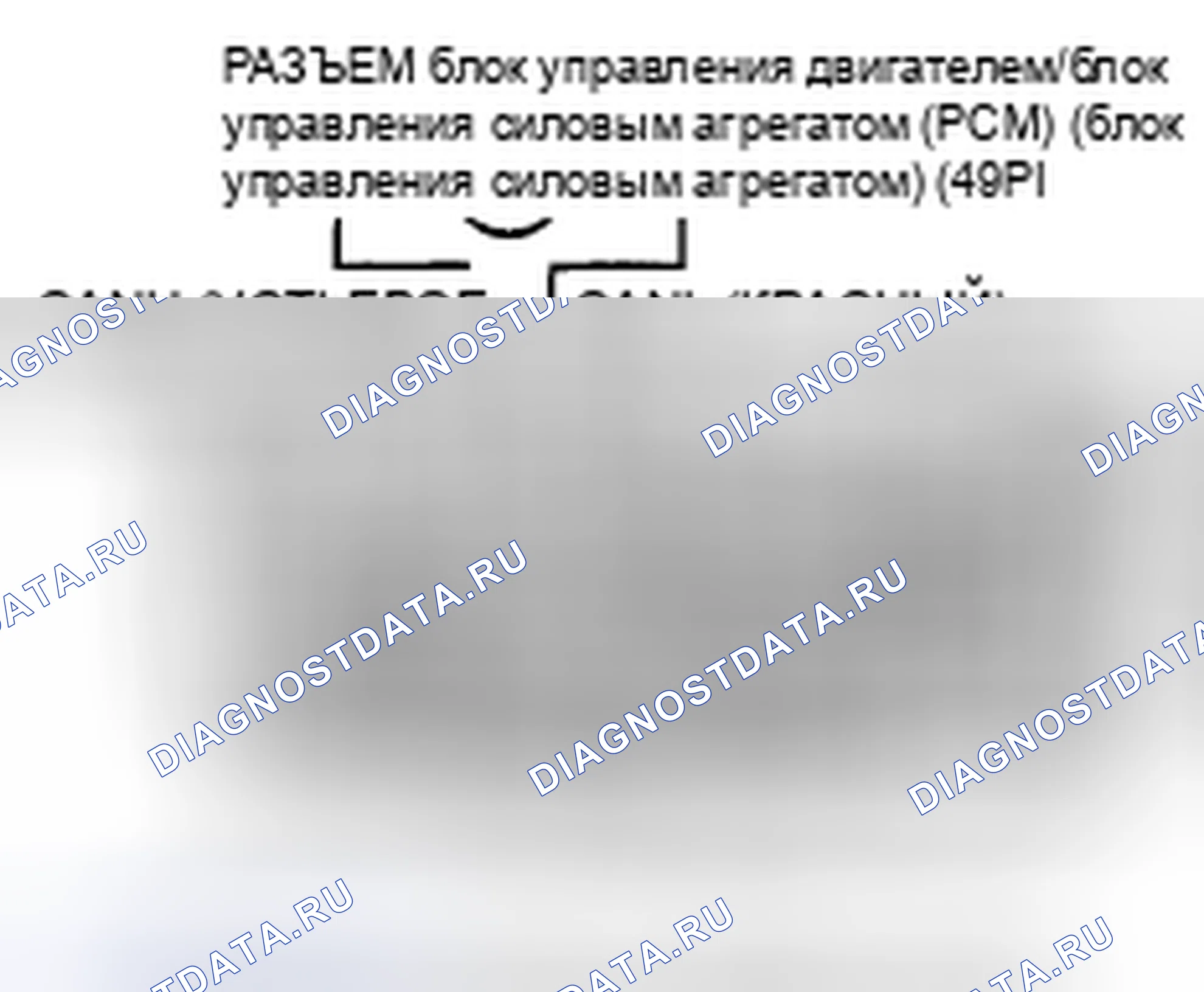 Рис. 844: Устранение неполадок в цепи F-CAN. Honda Accord VIII