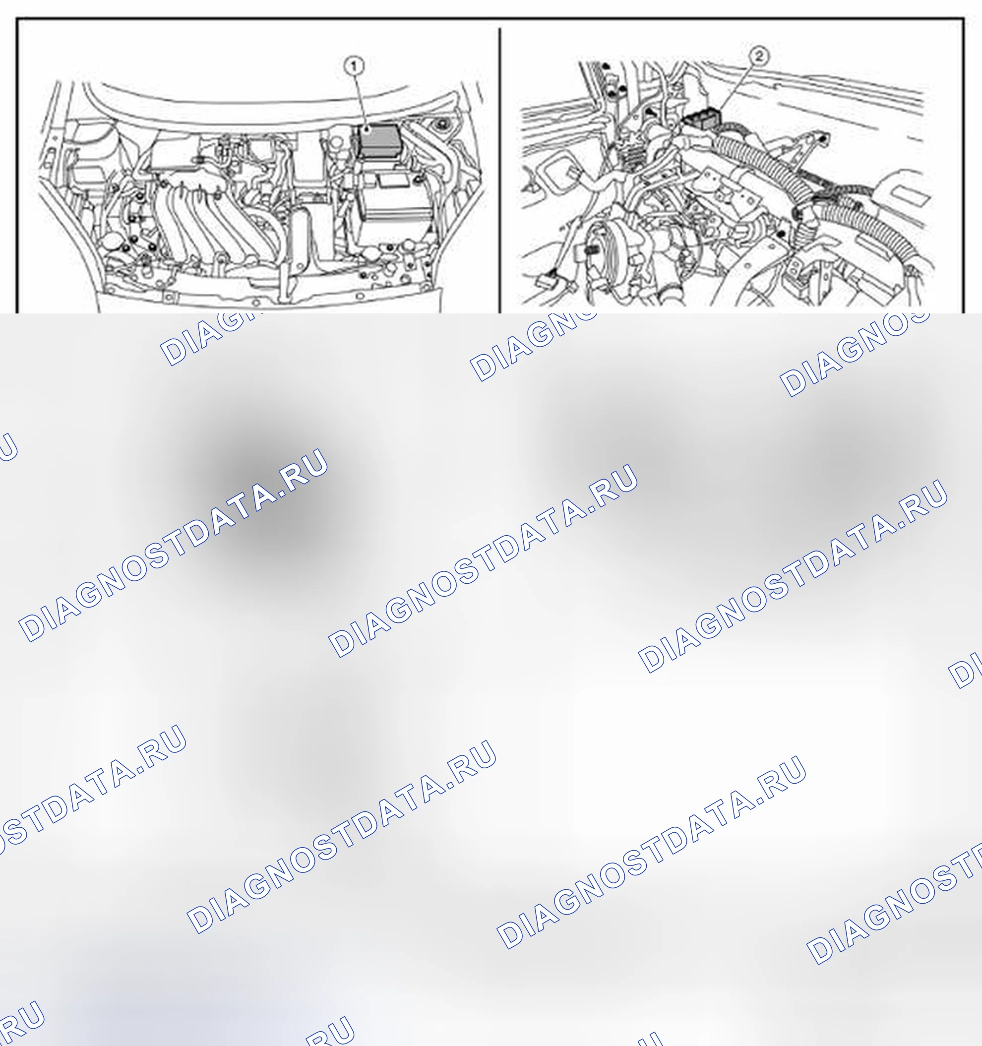 Рис. 97: Расположение компонентов. Audi RS6 C8