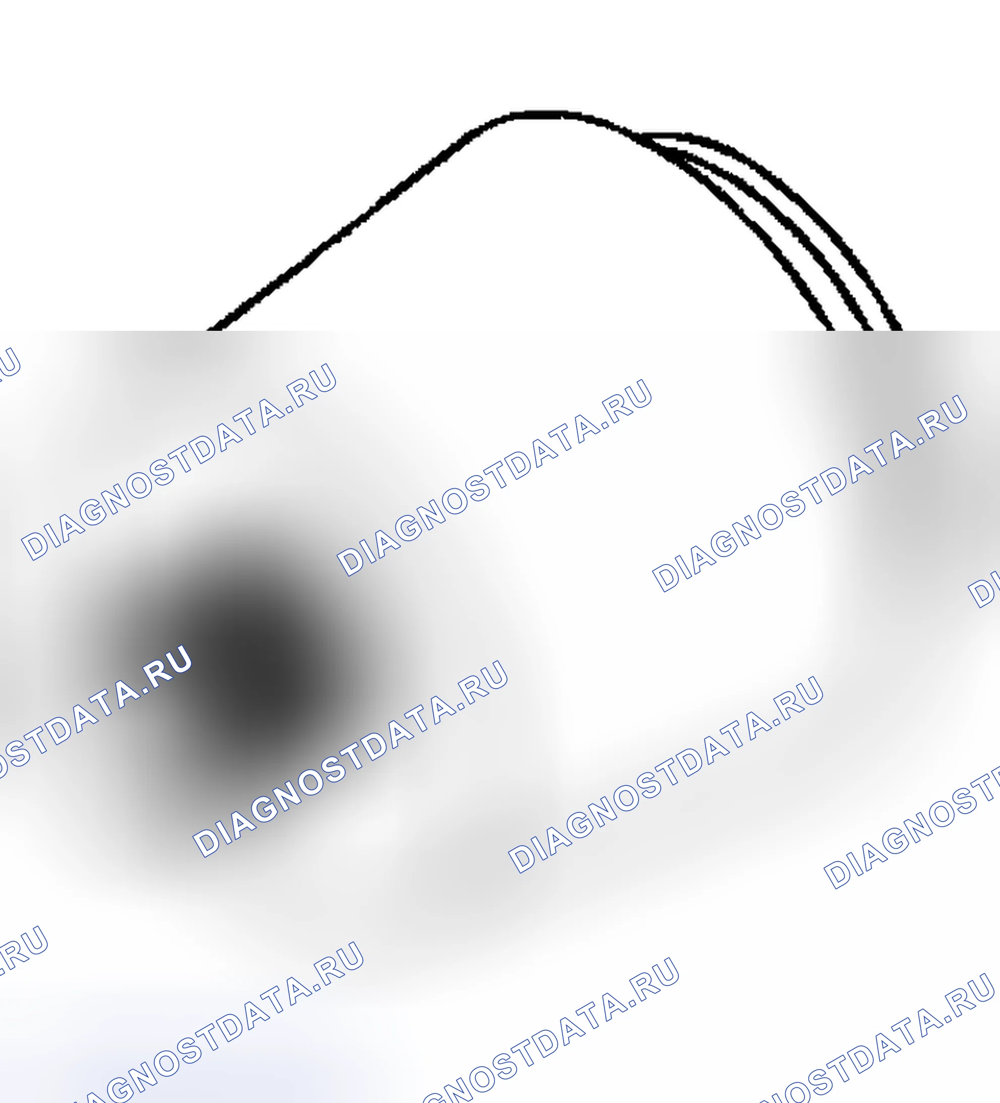 Рис. 313. Honda WR-V I