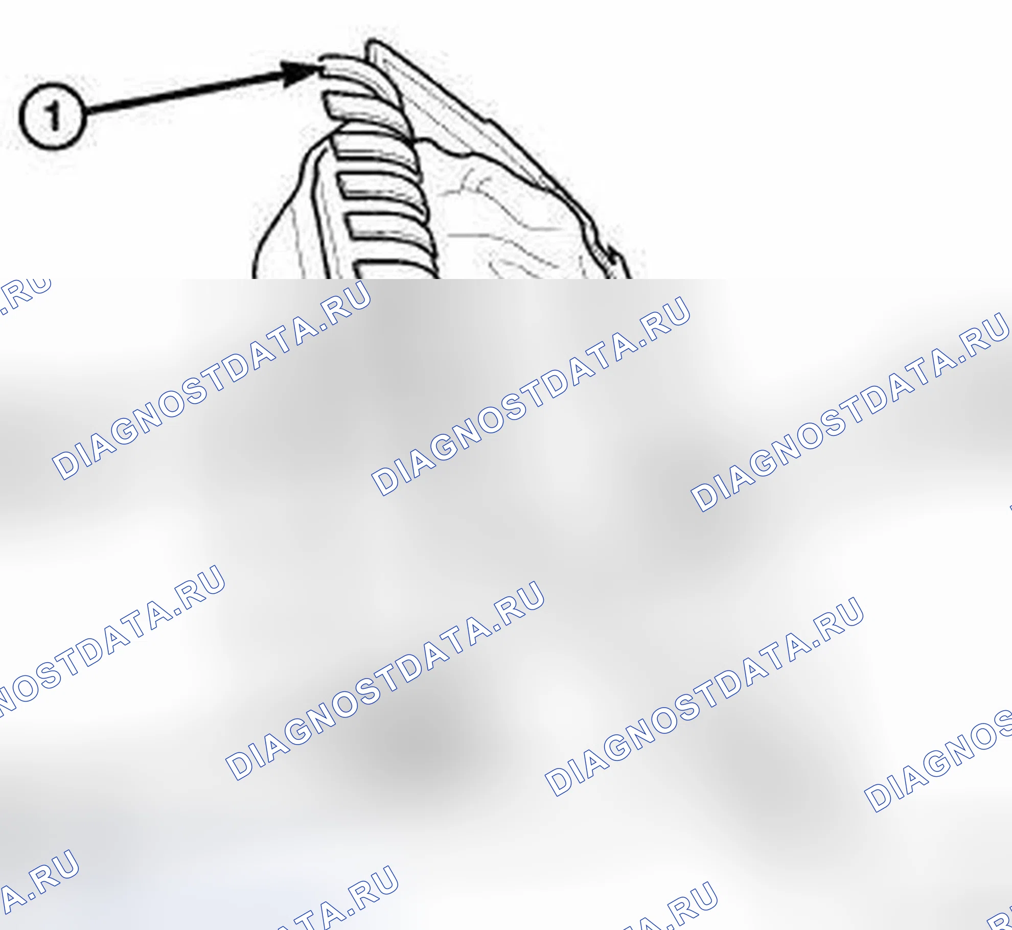 Рис. 8. Dodge Caliber I рестайлинг