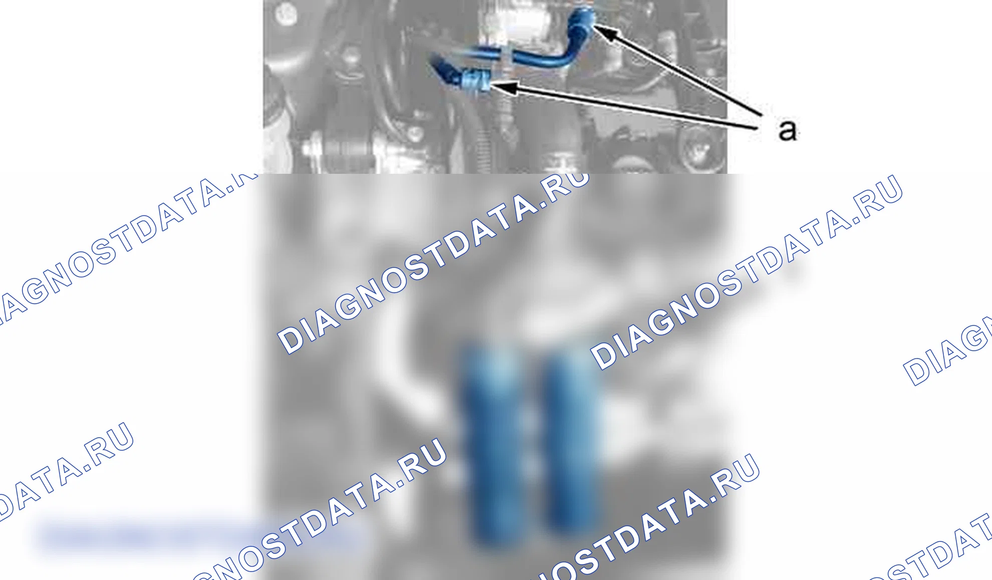 Снятие - Установка: ремень ГРМ — b1eg0lkd. Citroen C5 II