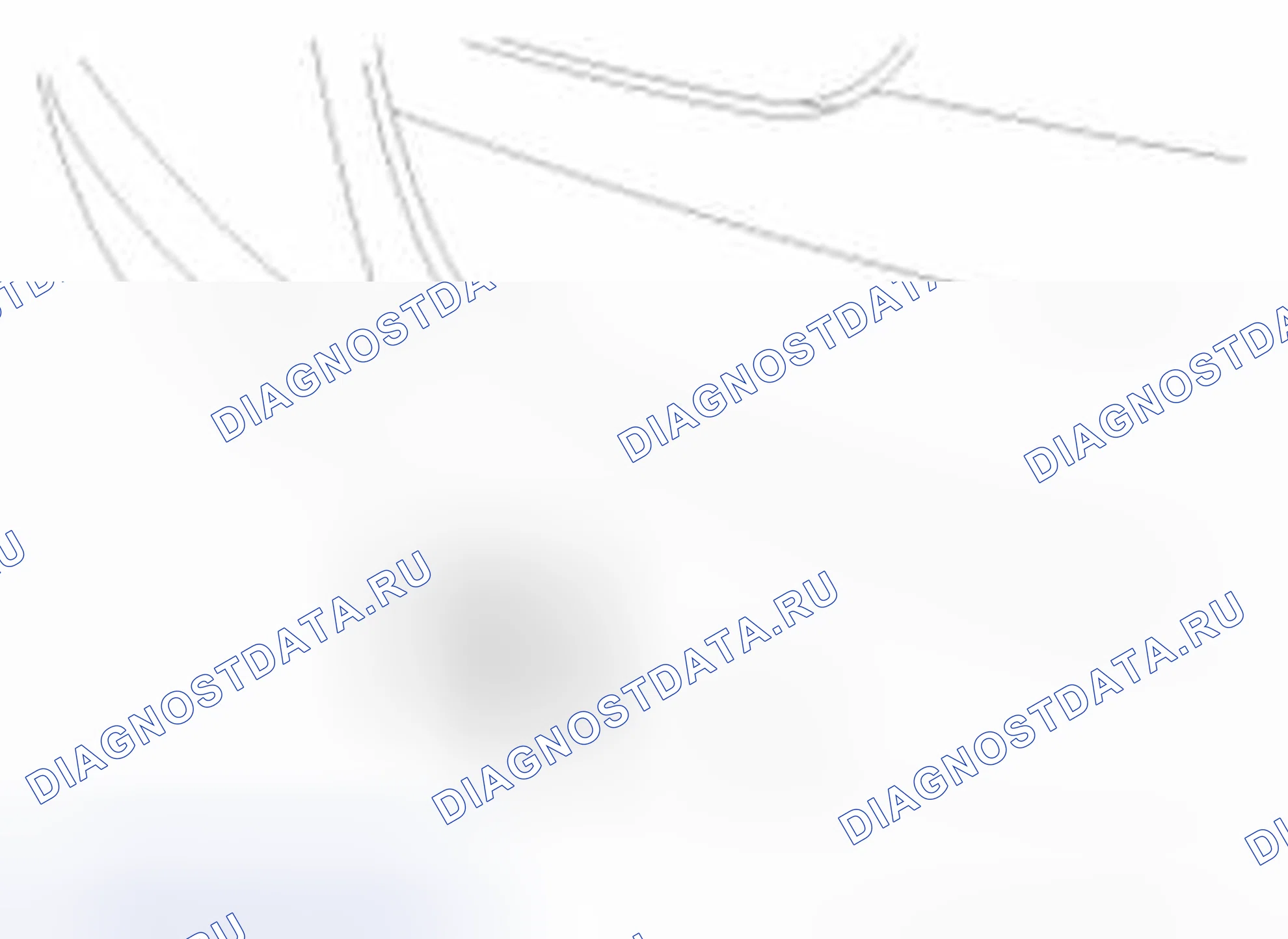 Рис. 21. Haval Beast (Shenshou) I