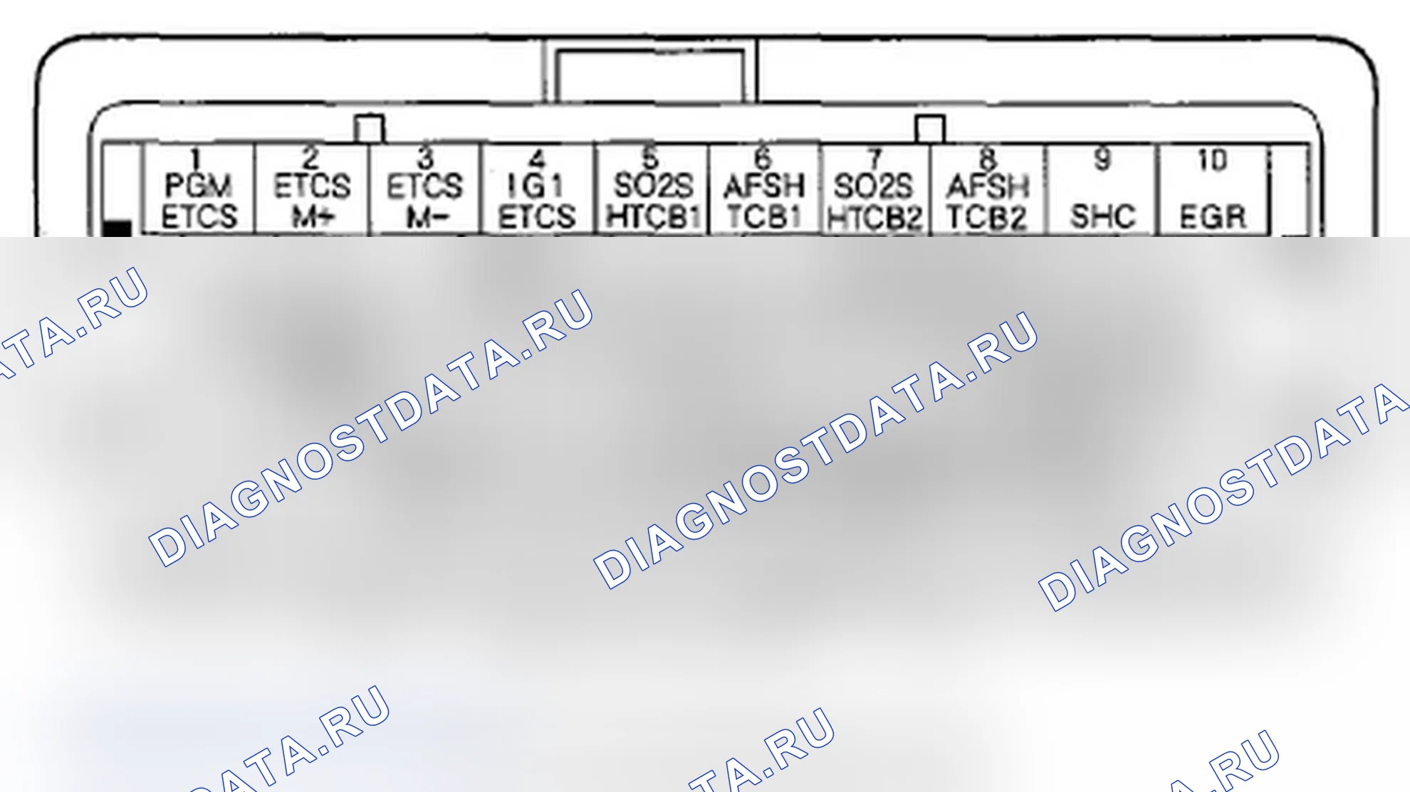 Рис. 218: Входы и выходы ИКМ разъема C (o) (49P). Acura MDX II рестайлинг