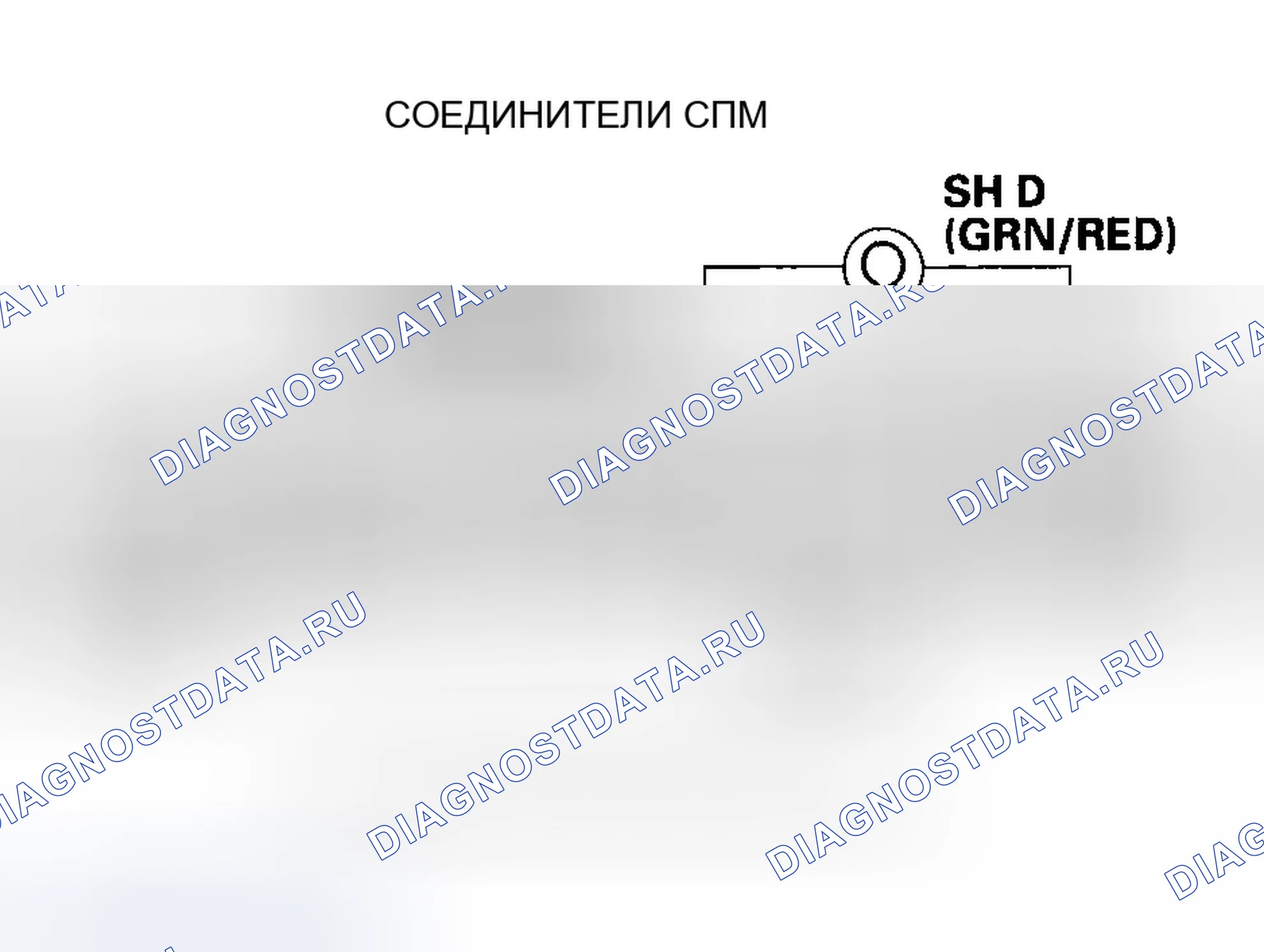 Рис. 561. Honda Accord VII рестайлинг