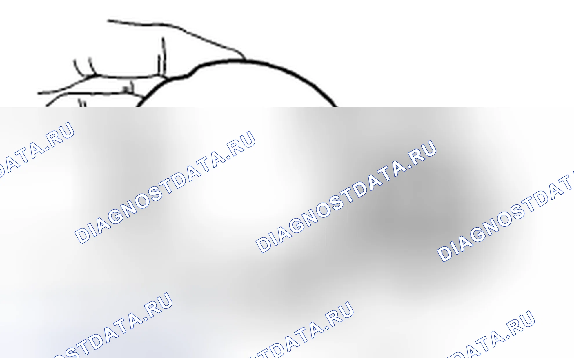 Рис. 25. Subaru Outback BR