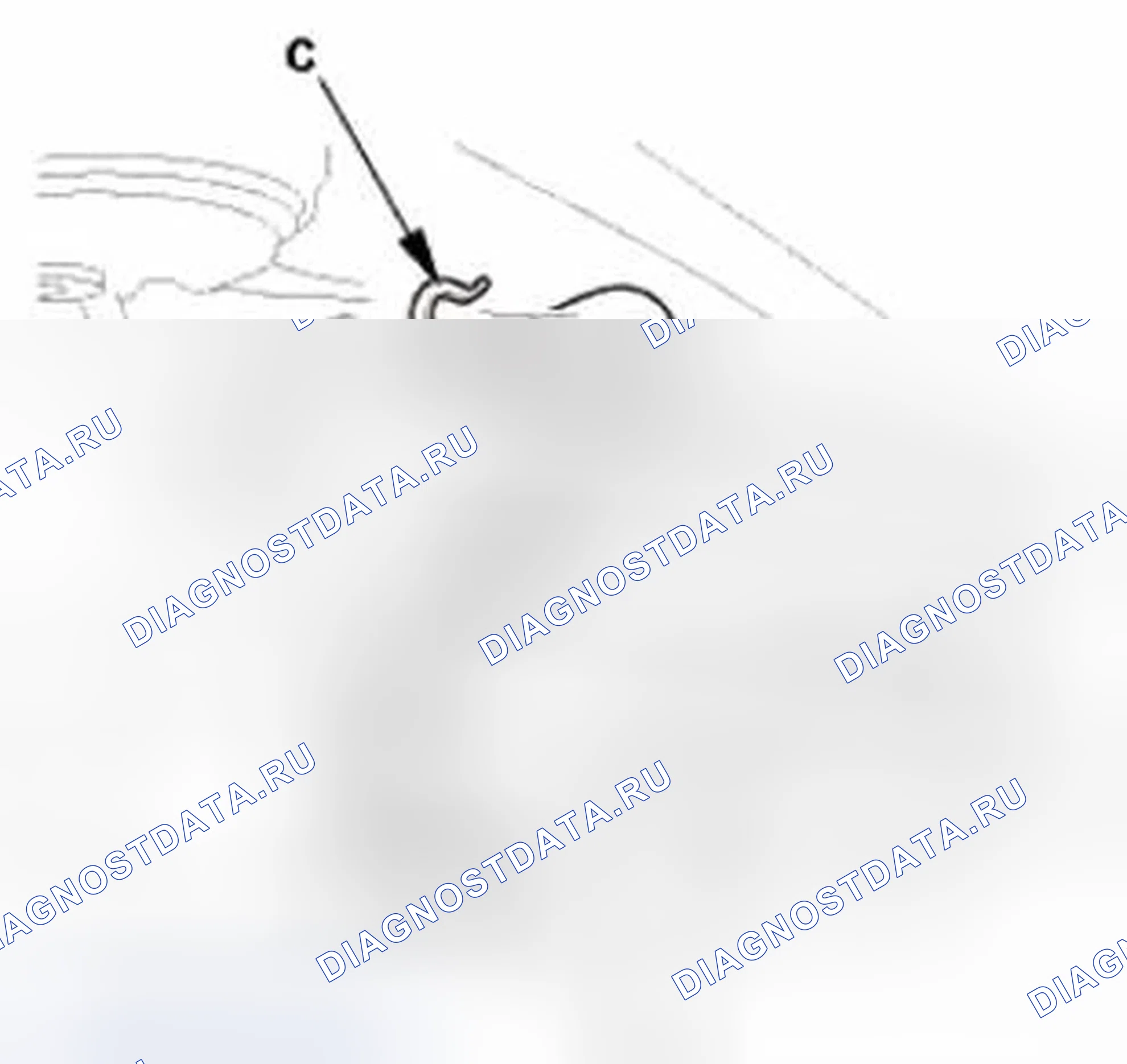 Рис. 345. Honda CR-V IV