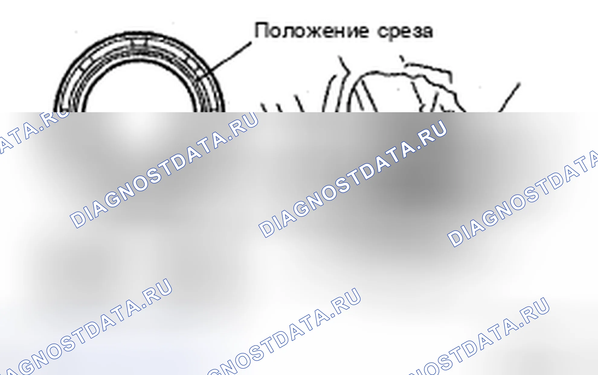 Рис. 142. Honda Accord IX