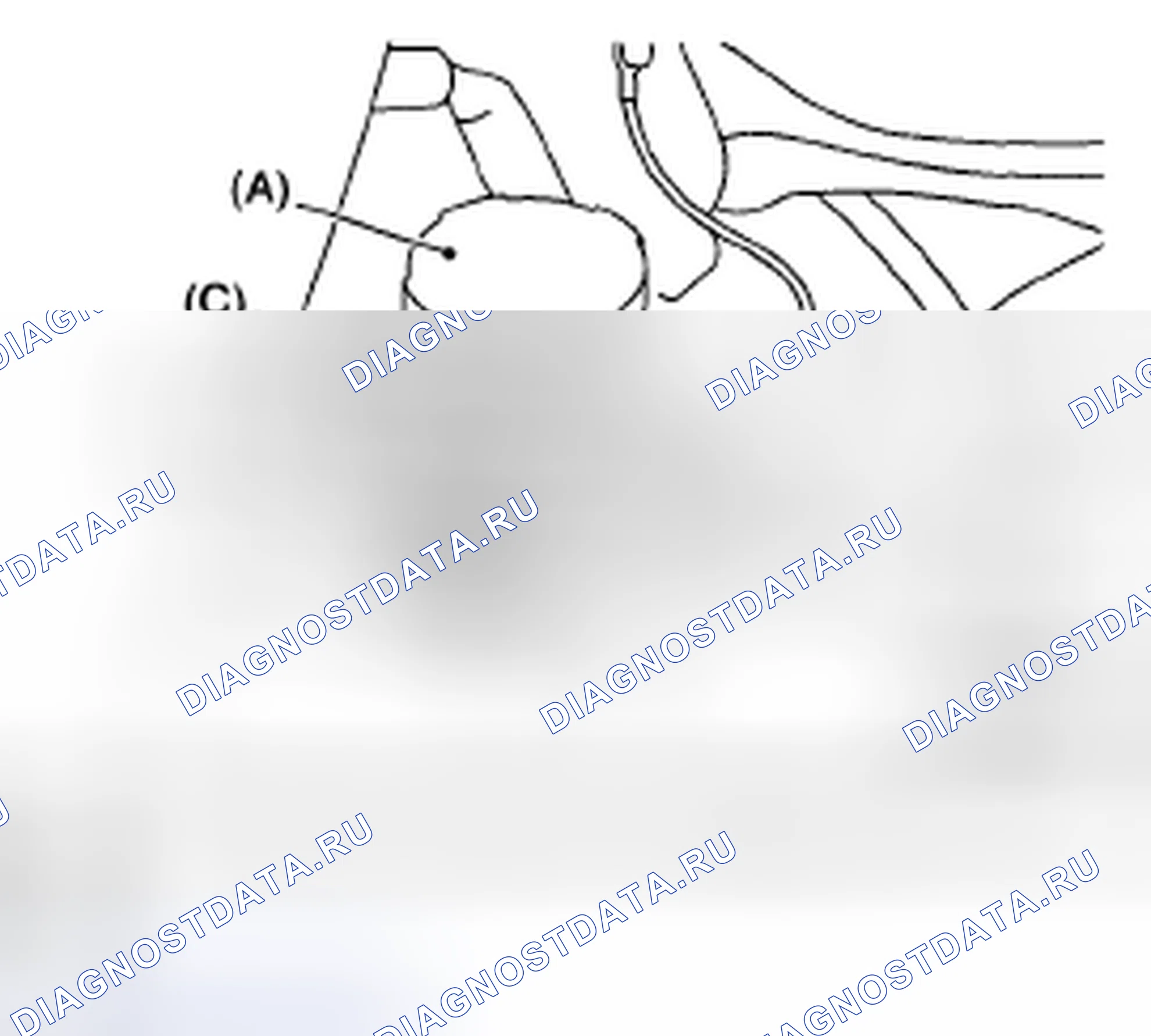 Рис. 14. Subaru Legacy BL/BP рестайлинг
