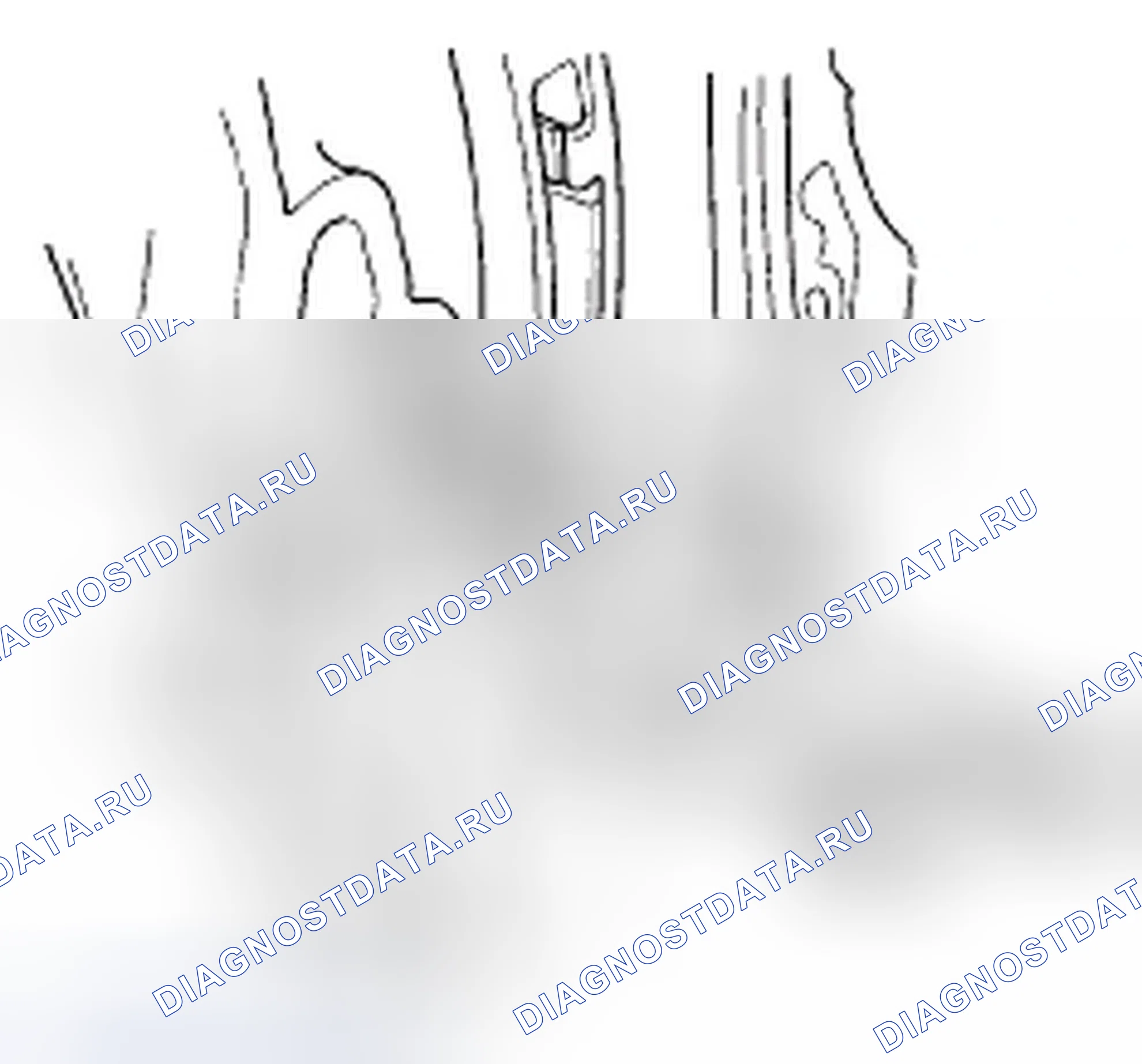 Рис. 41. Honda Element YH2 рестайлинг