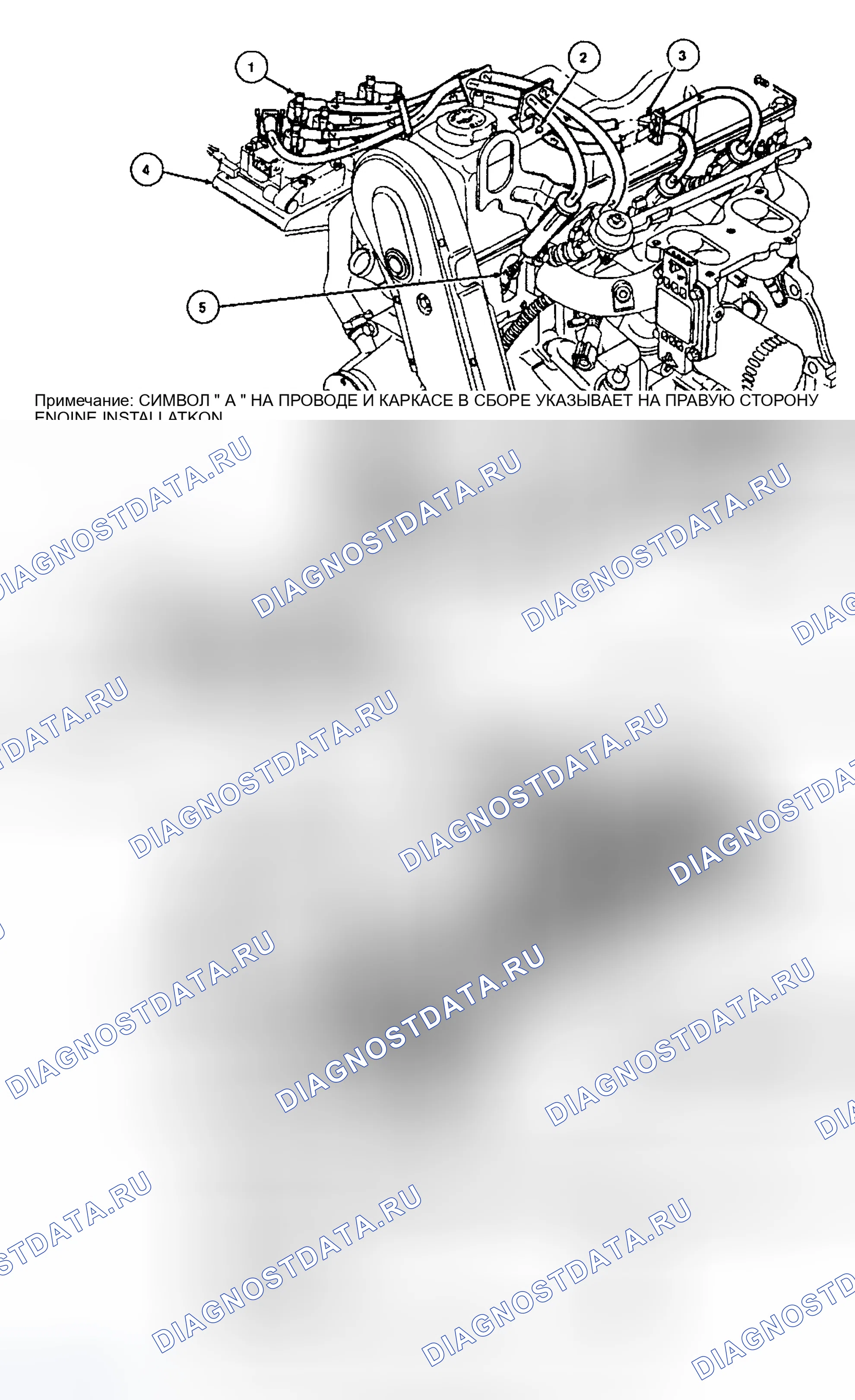 Рис. 8: РАЗВОДКА ПРОВОДОВ СВЕЧИ ЗАЖИГАНИЯ (2.3L Ohc). Ford Escort V рестайлинг