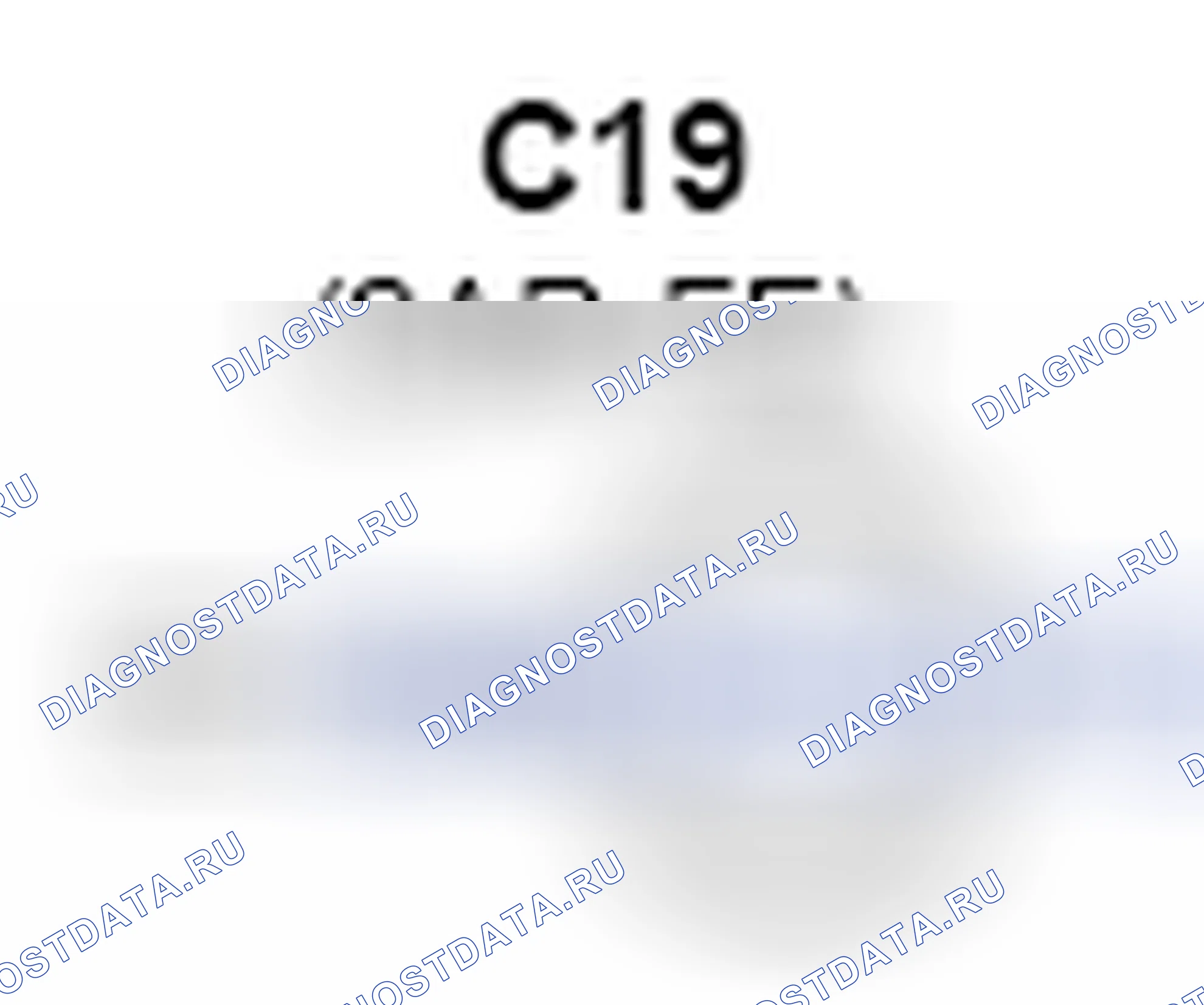 Рис. 1240: Датчик нагретого кислорода (блок 1, сенсор 2) Вид с торца разъема (C22). Toyota Camry XV40 рестайлинг