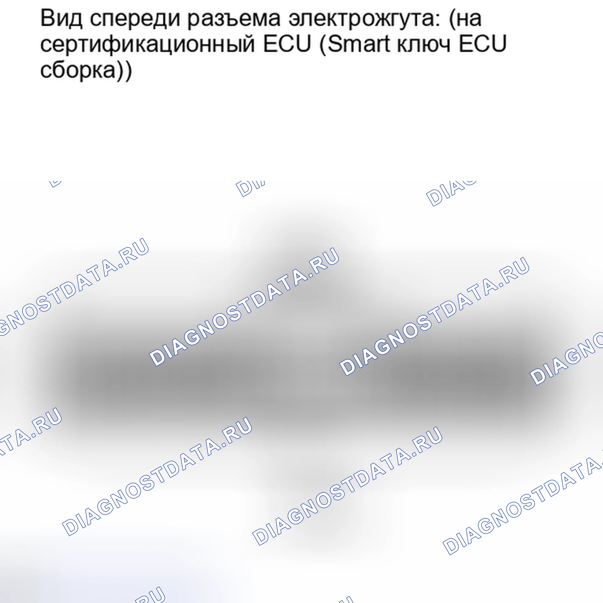 Рис. 126. Lexus IS F I