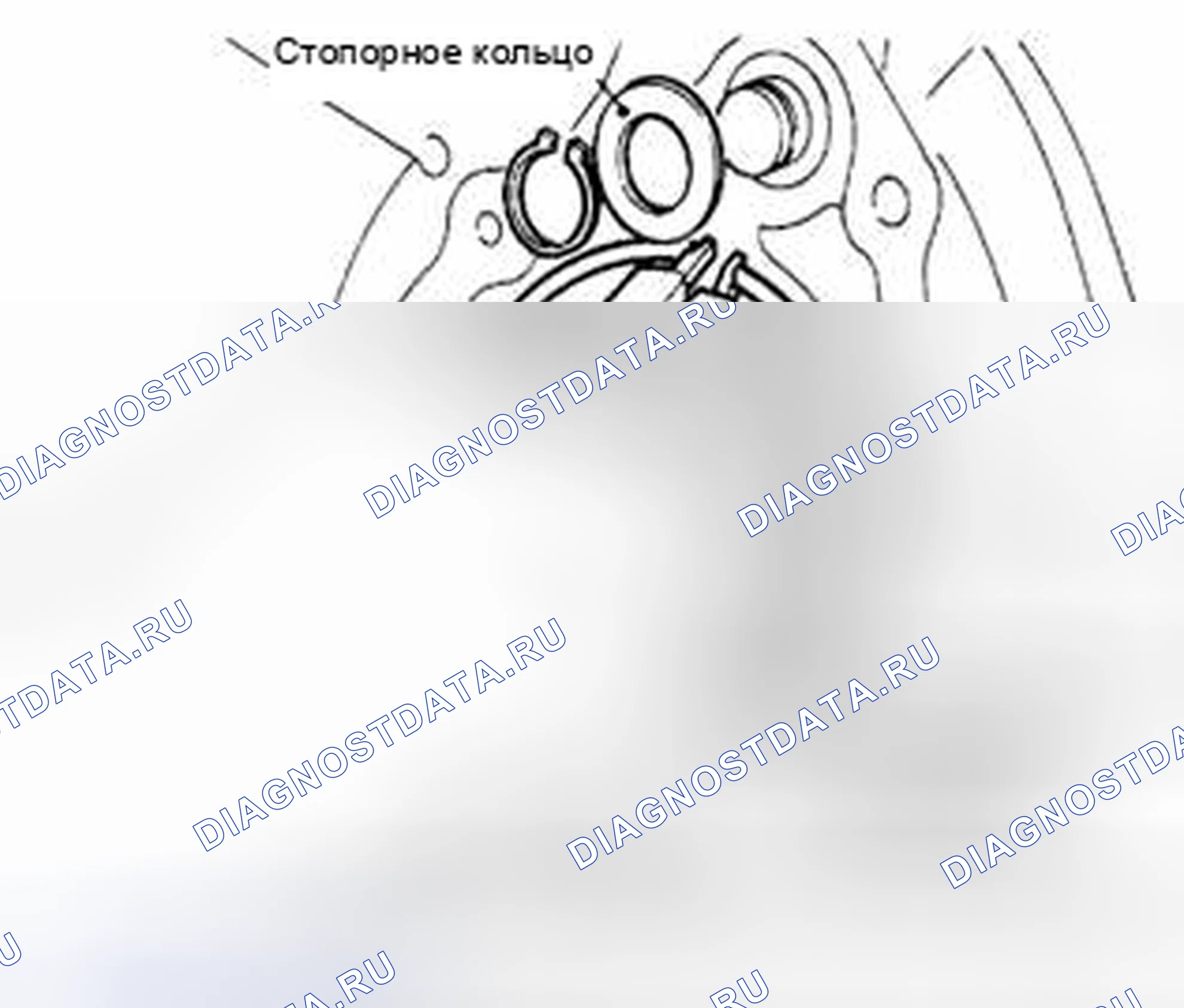 Рис. 233. Suzuki Equator I