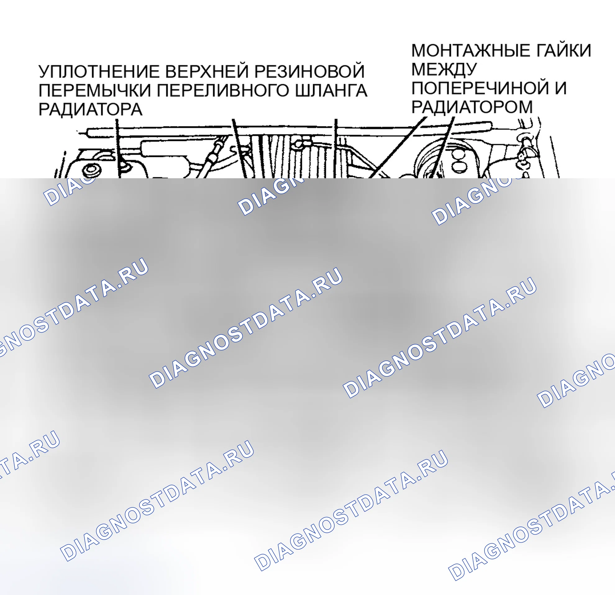Рис. 65. Dodge Dakota WS 