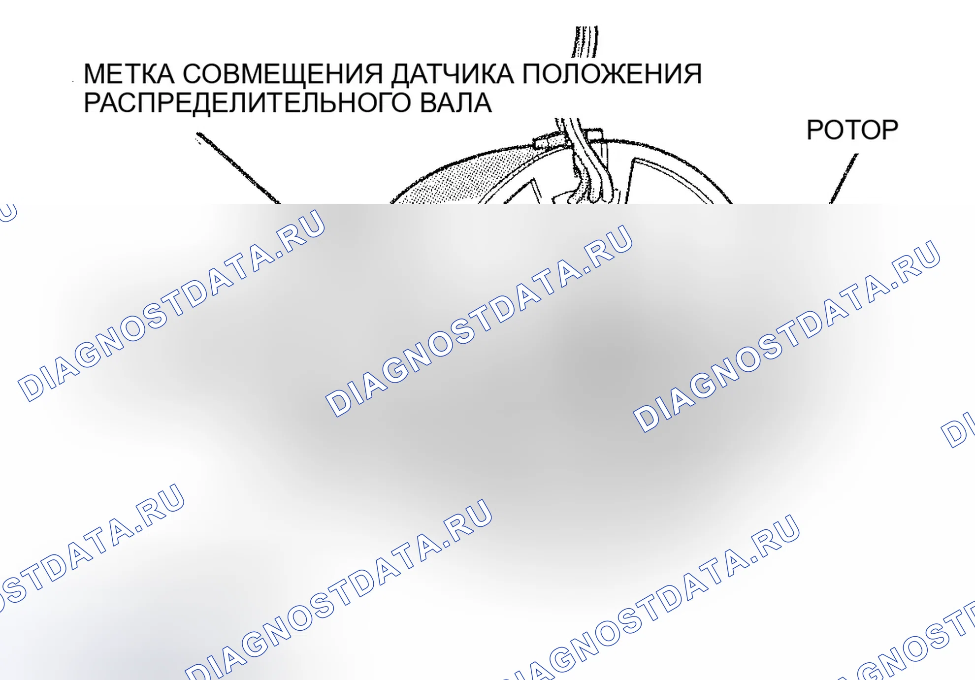 Рис. 9. Dodge Dakota WS 