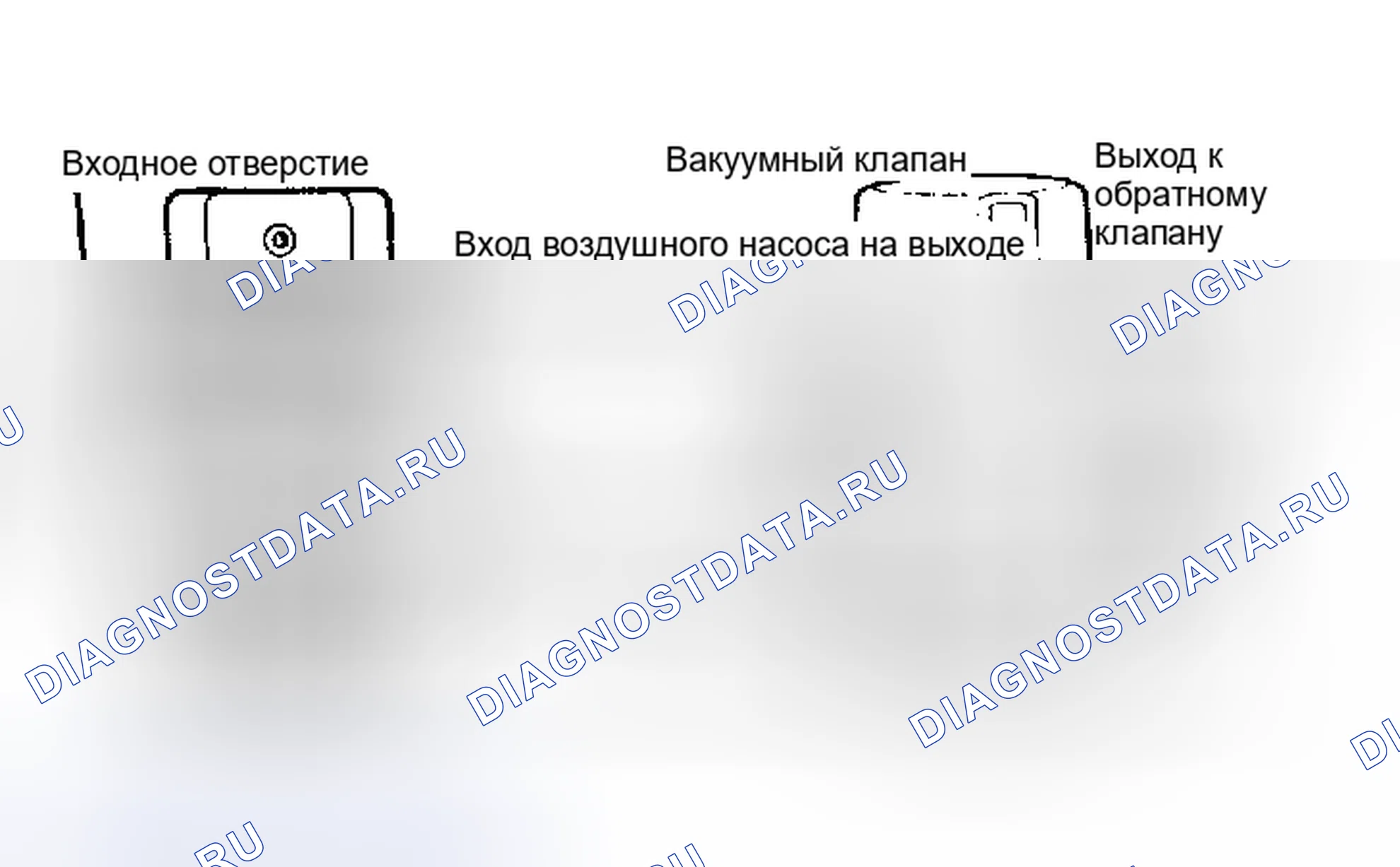 Рис. 26: Нормально открытые клапаны. Mazda Familia BF