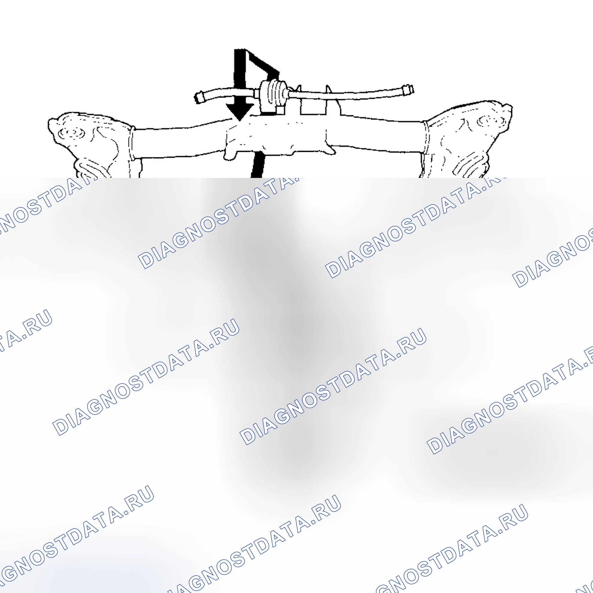 Рис. 153. Honda CR-V II