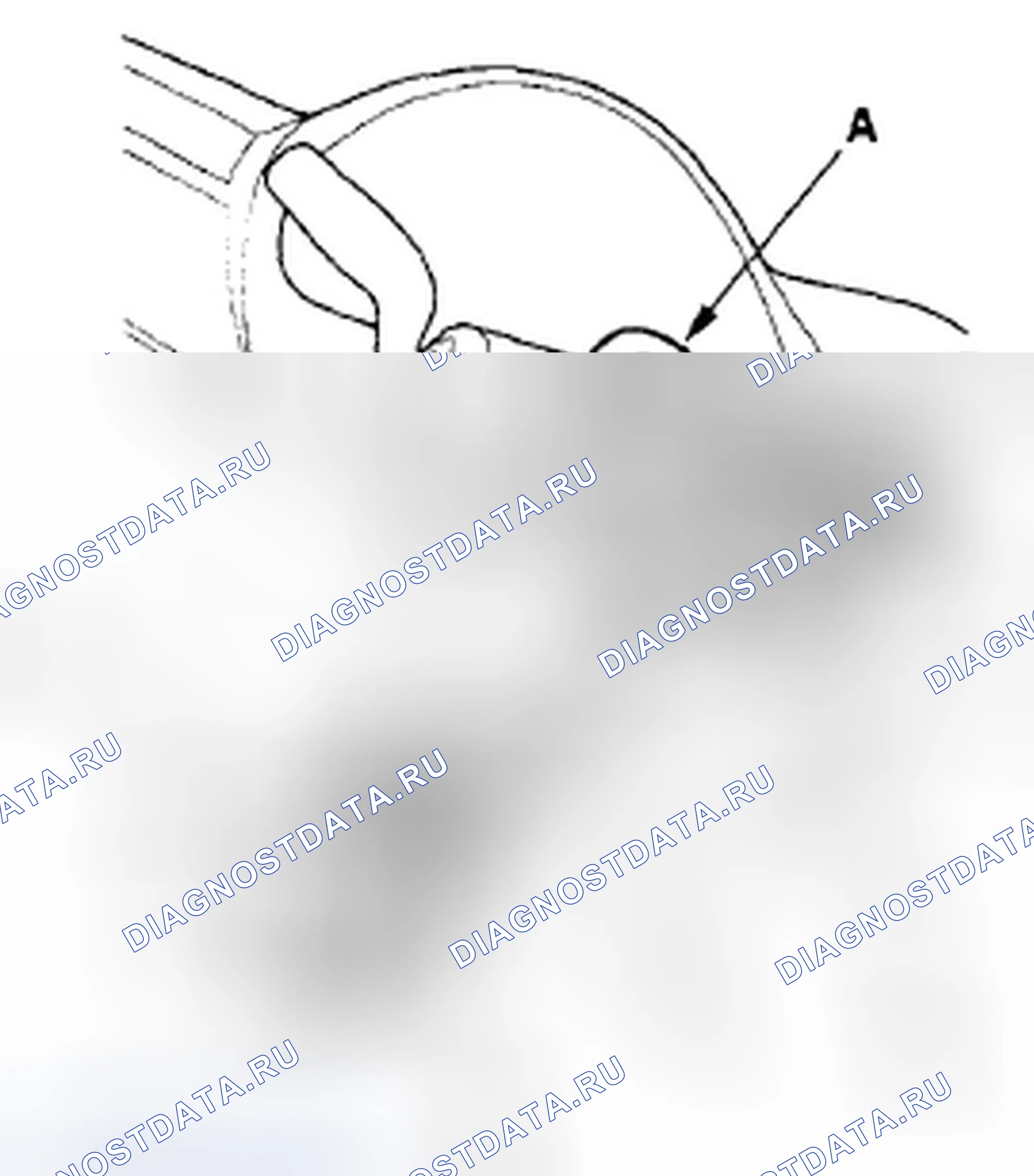 Рис. 294. Honda S2000 I