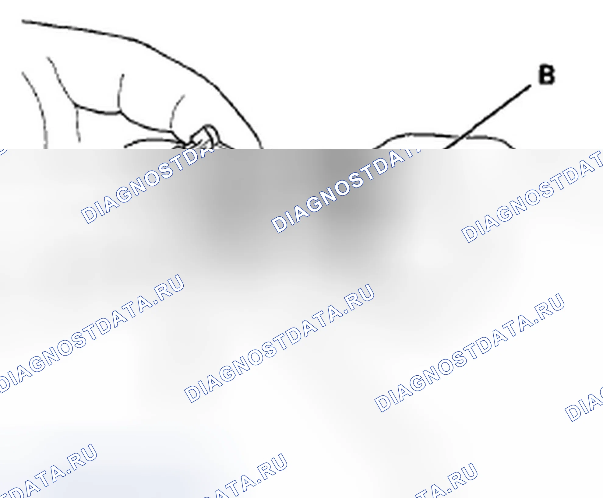 Рис. 661: Разъединение. Honda Accord VIII рестайлинг
