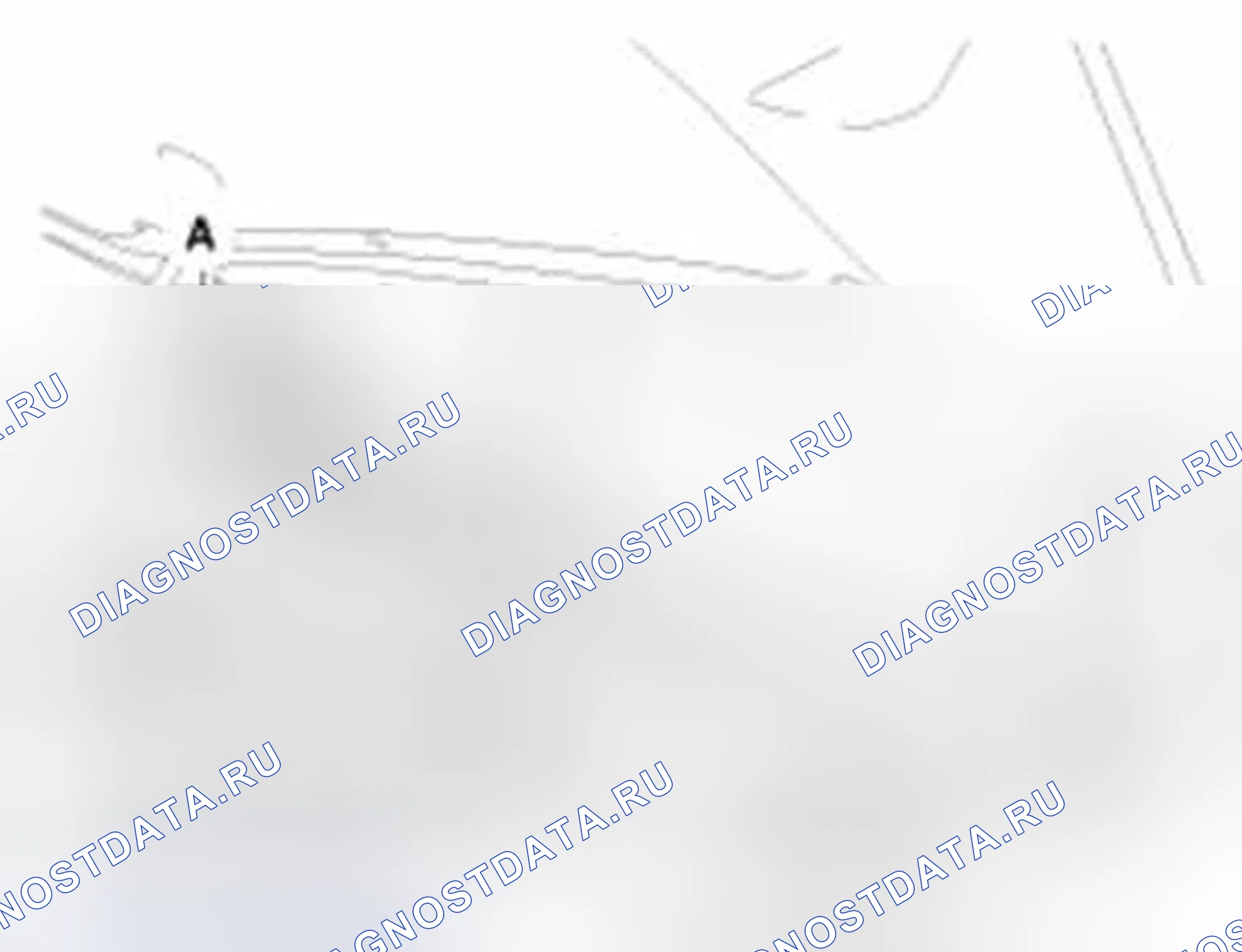 Рис. 16: Замена погодной полосы капота. Hyundai Equus II